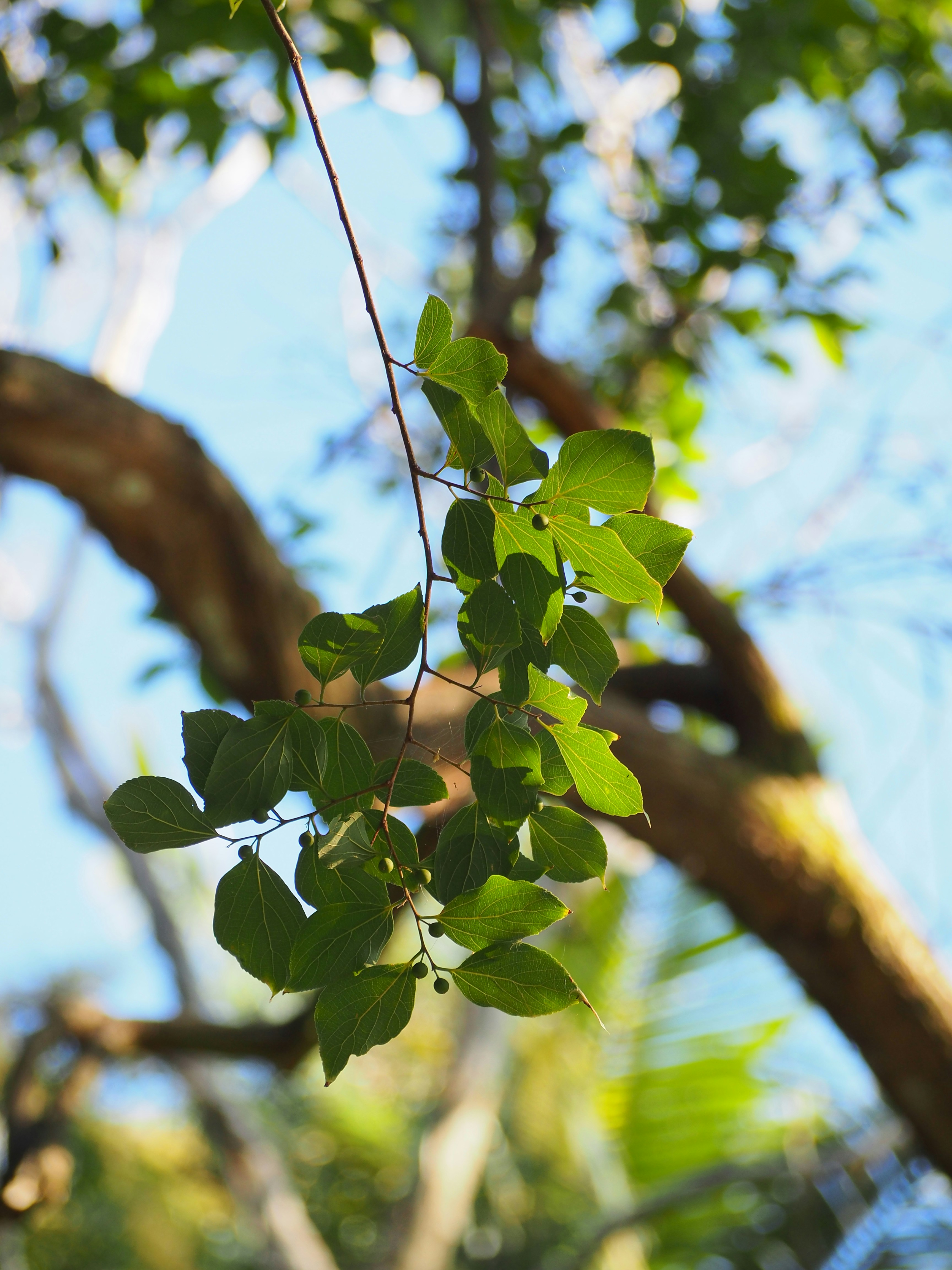 Photo by simar_thind