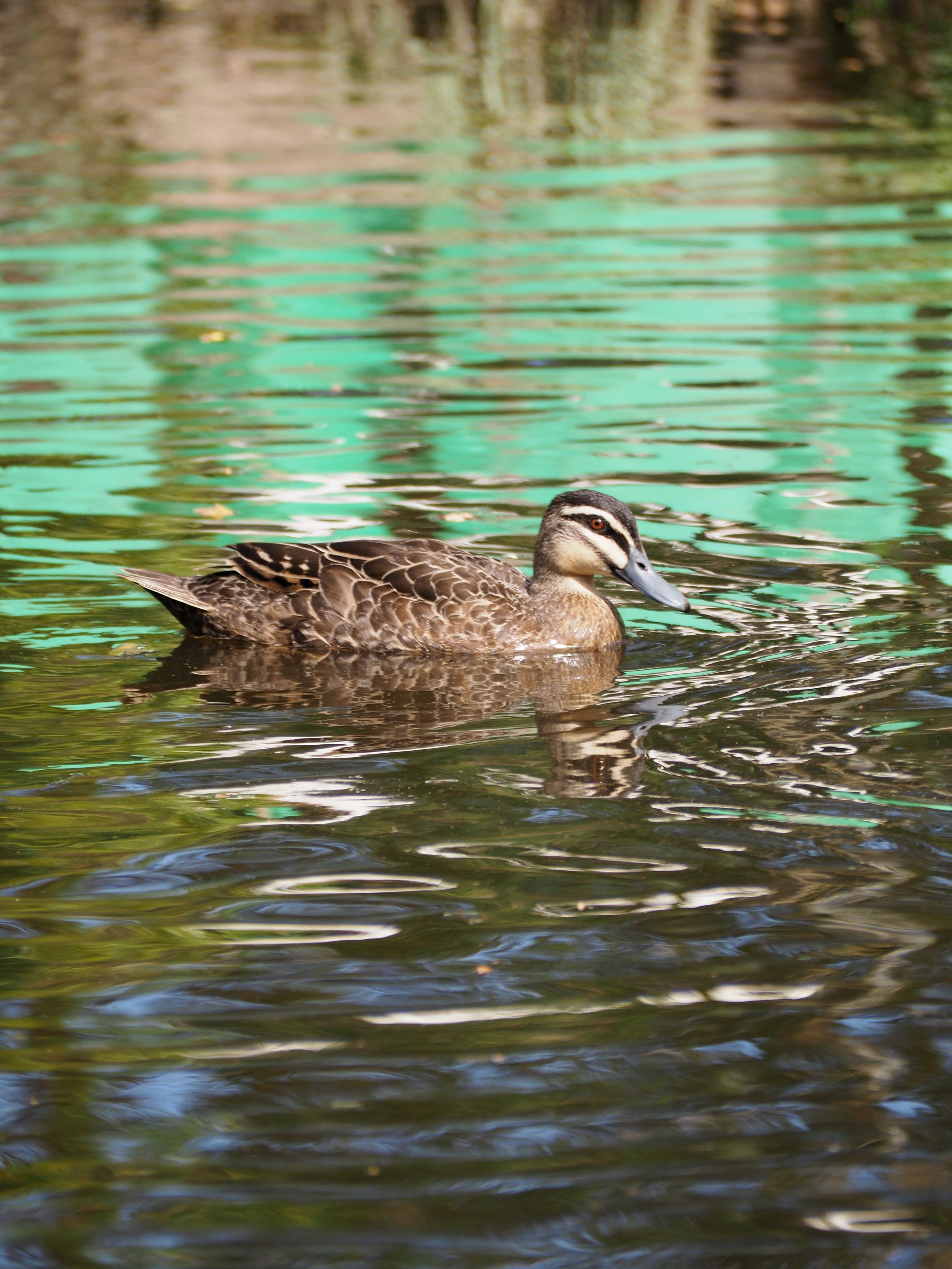 Photo by simar_thind