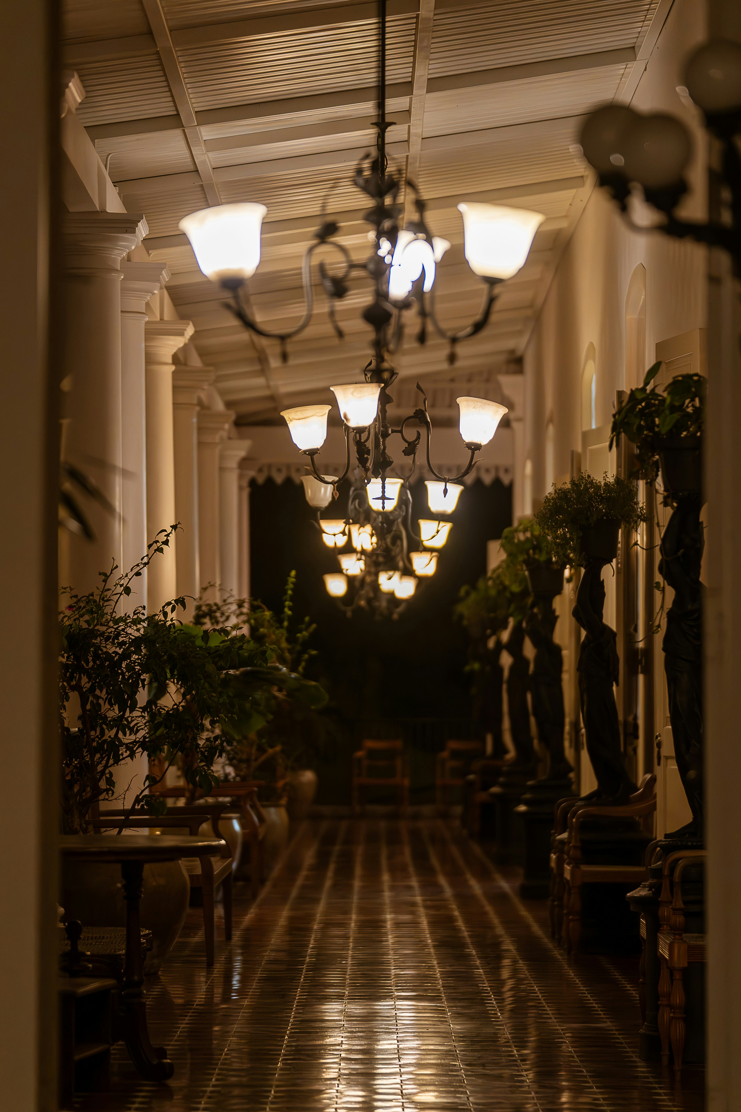 Photo by gosoundmitch