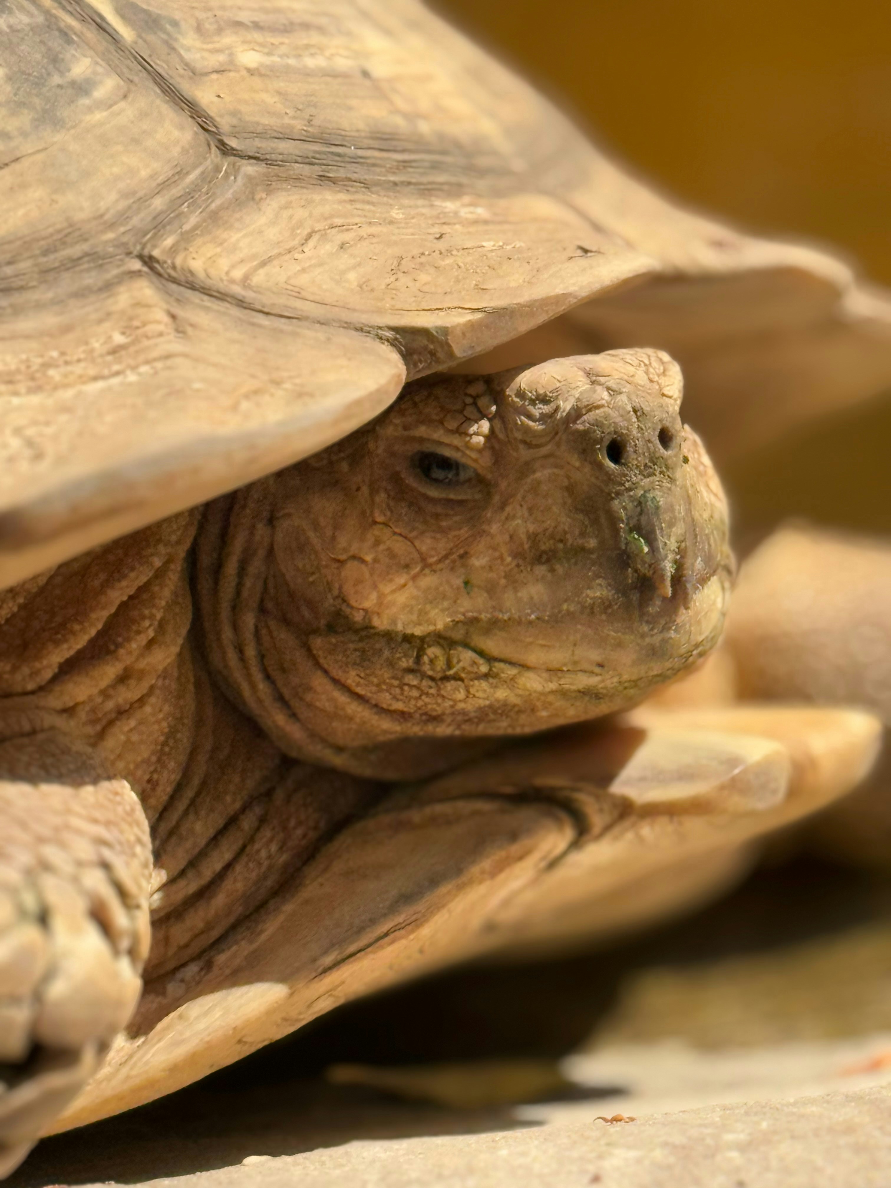 Photo by bharathvarakala