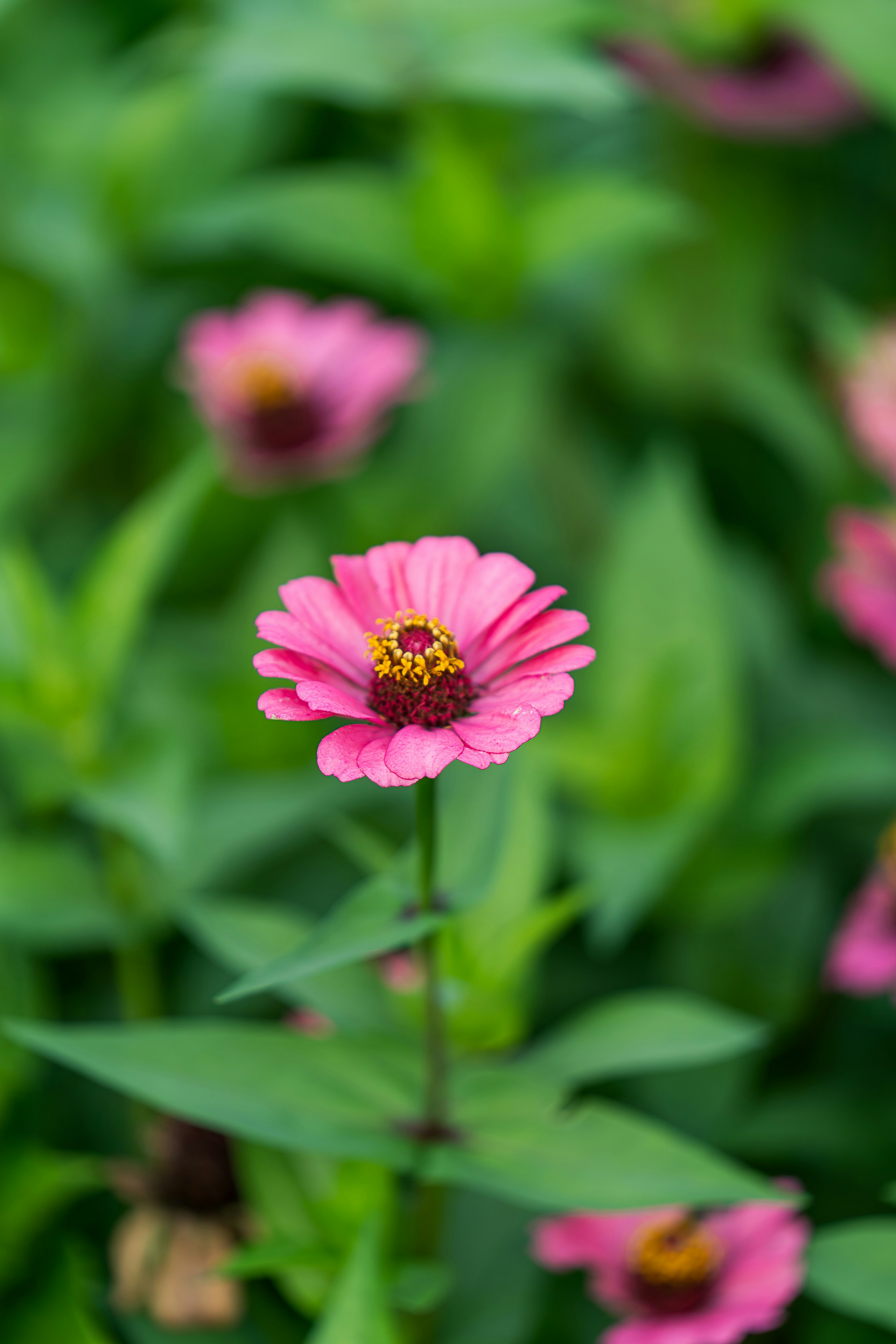 Photo by gosoundmitch