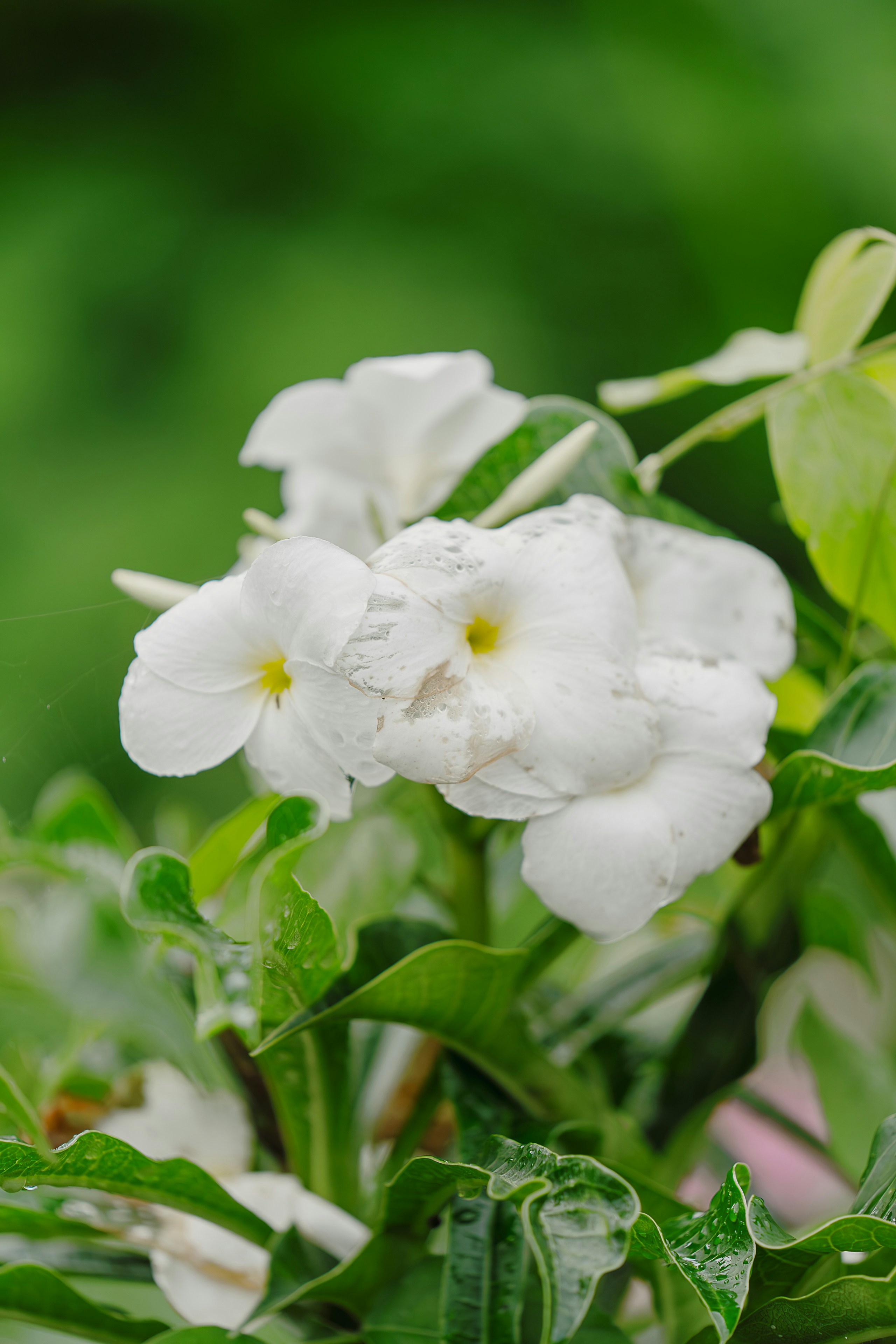 Photo by gosoundmitch