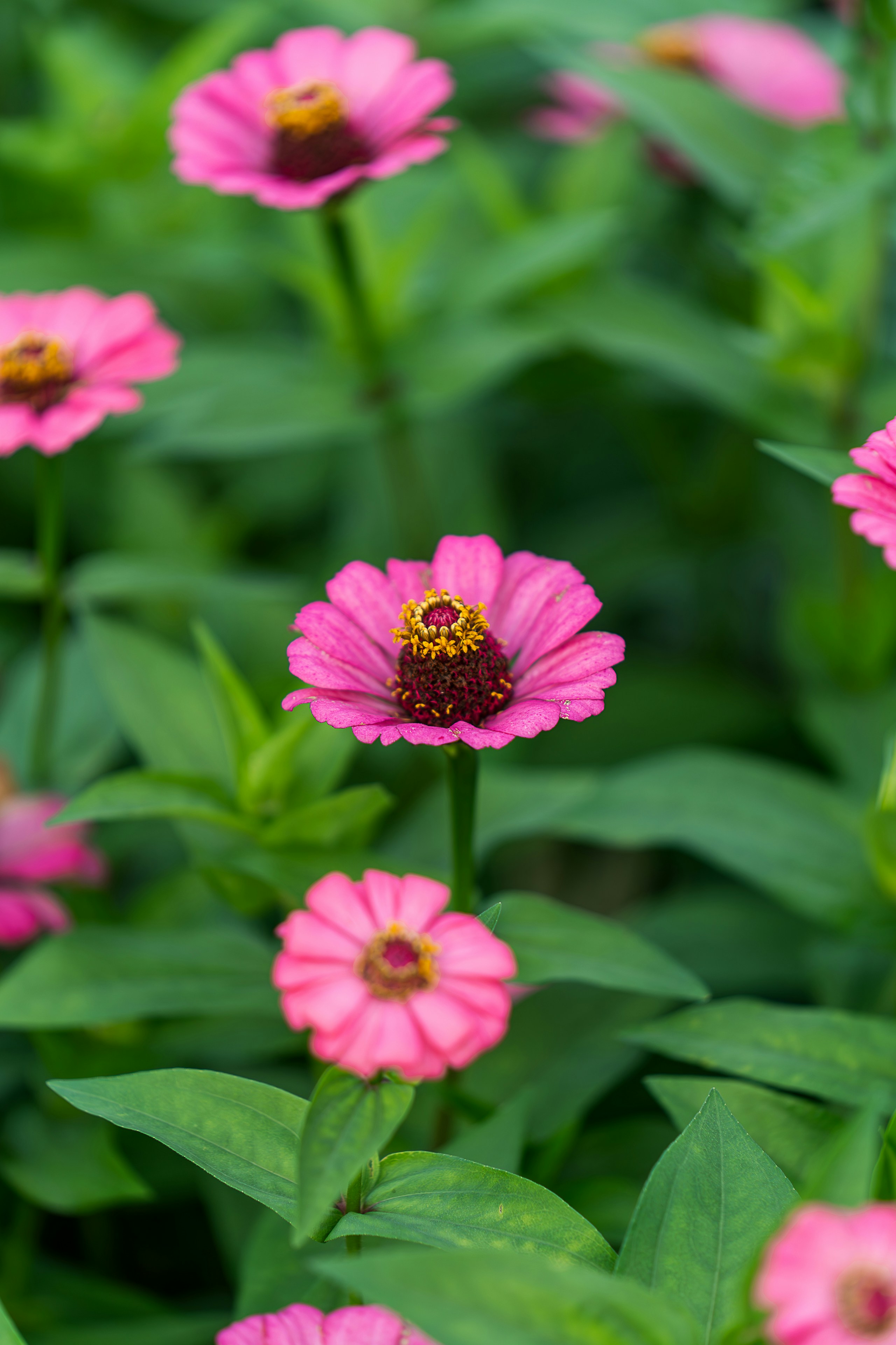 Photo by gosoundmitch