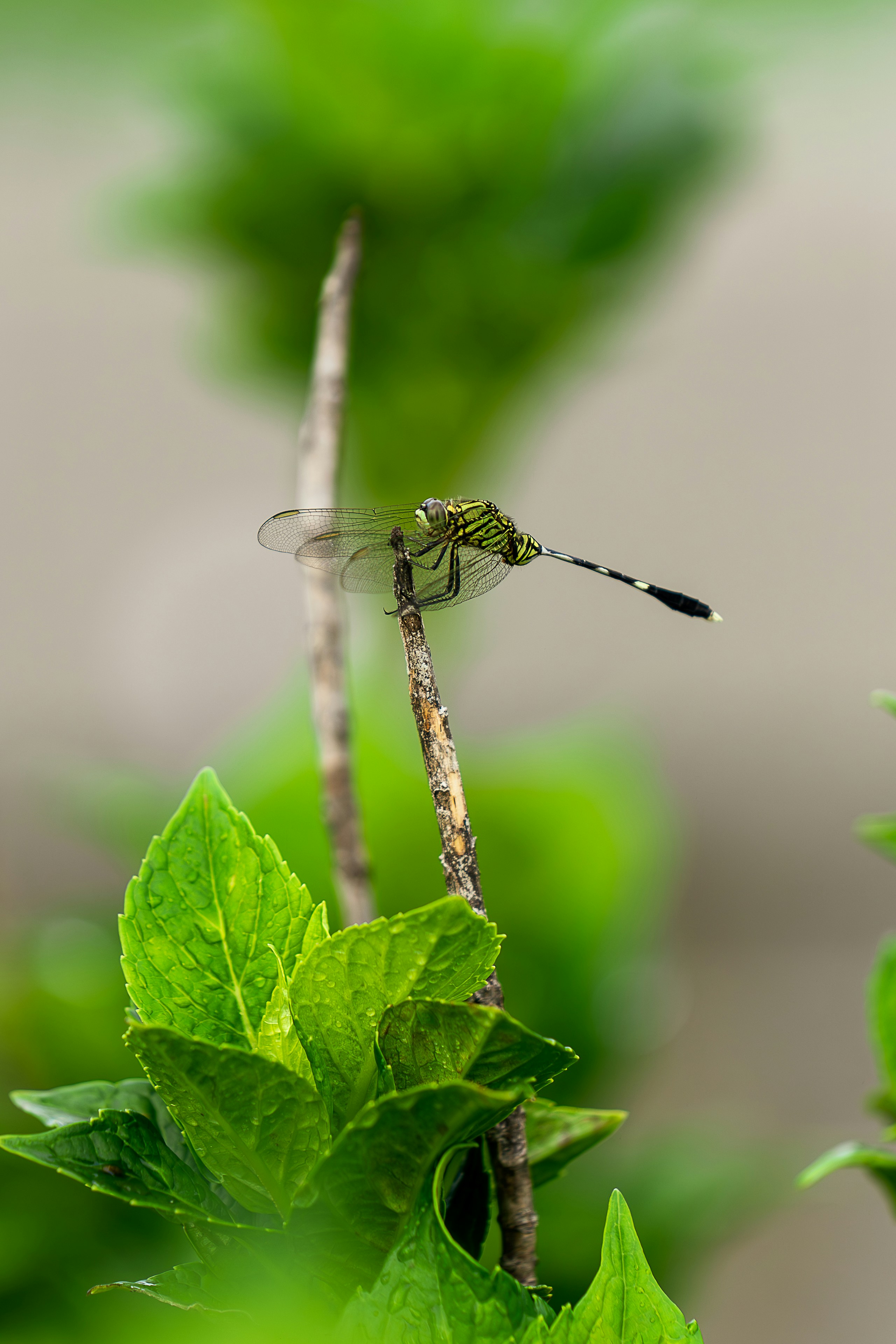 Photo by gosoundmitch