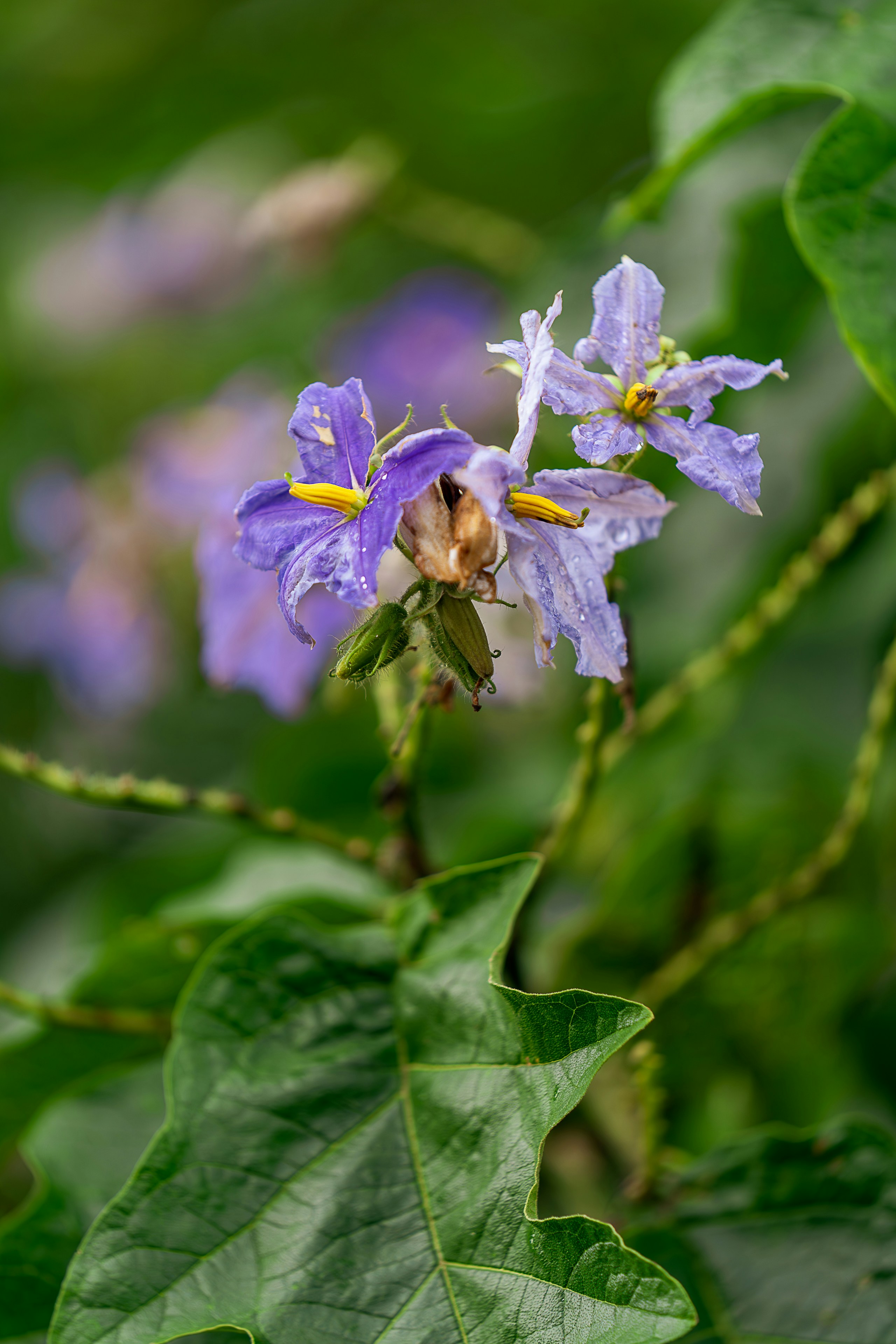 Photo by gosoundmitch