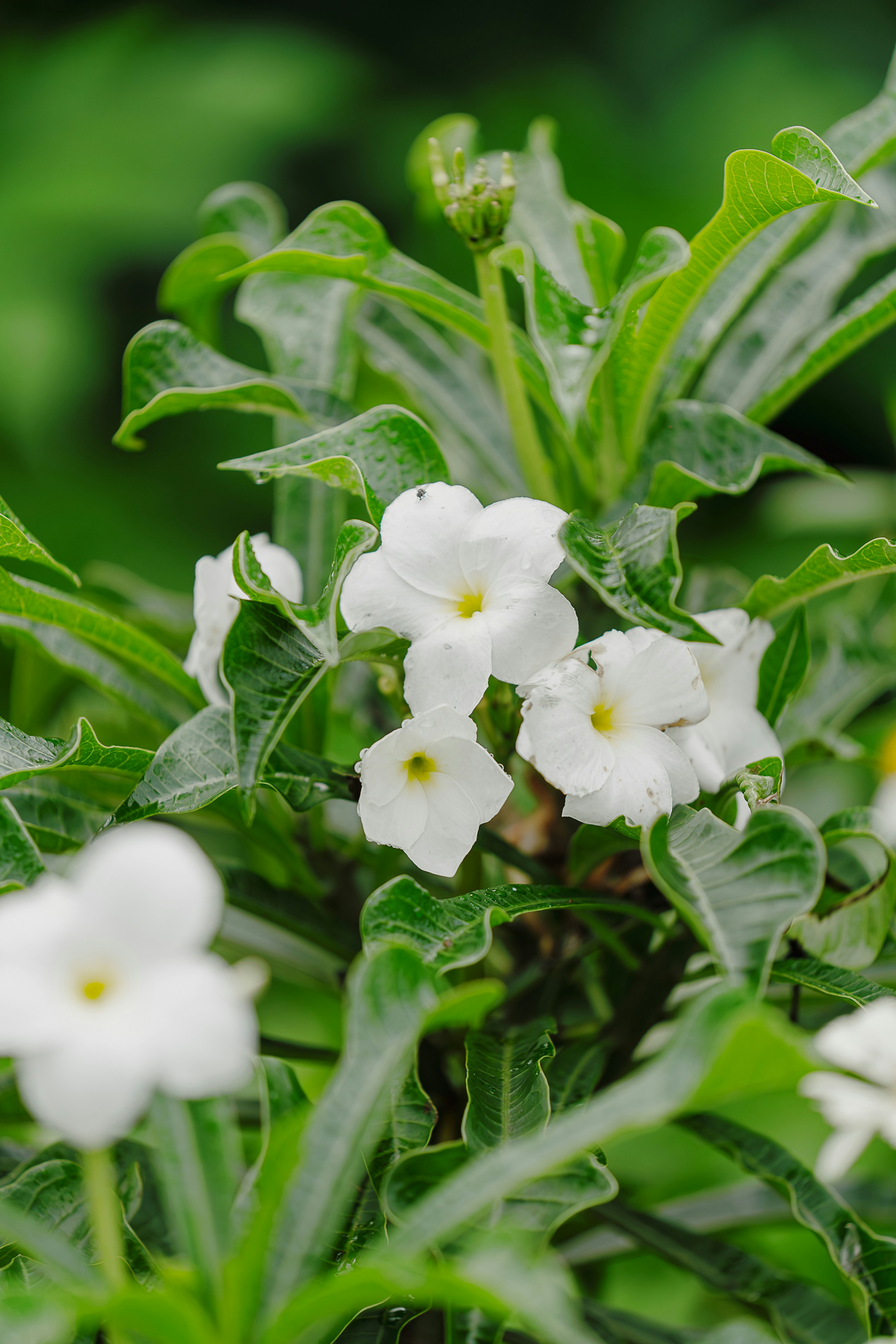 Photo by gosoundmitch