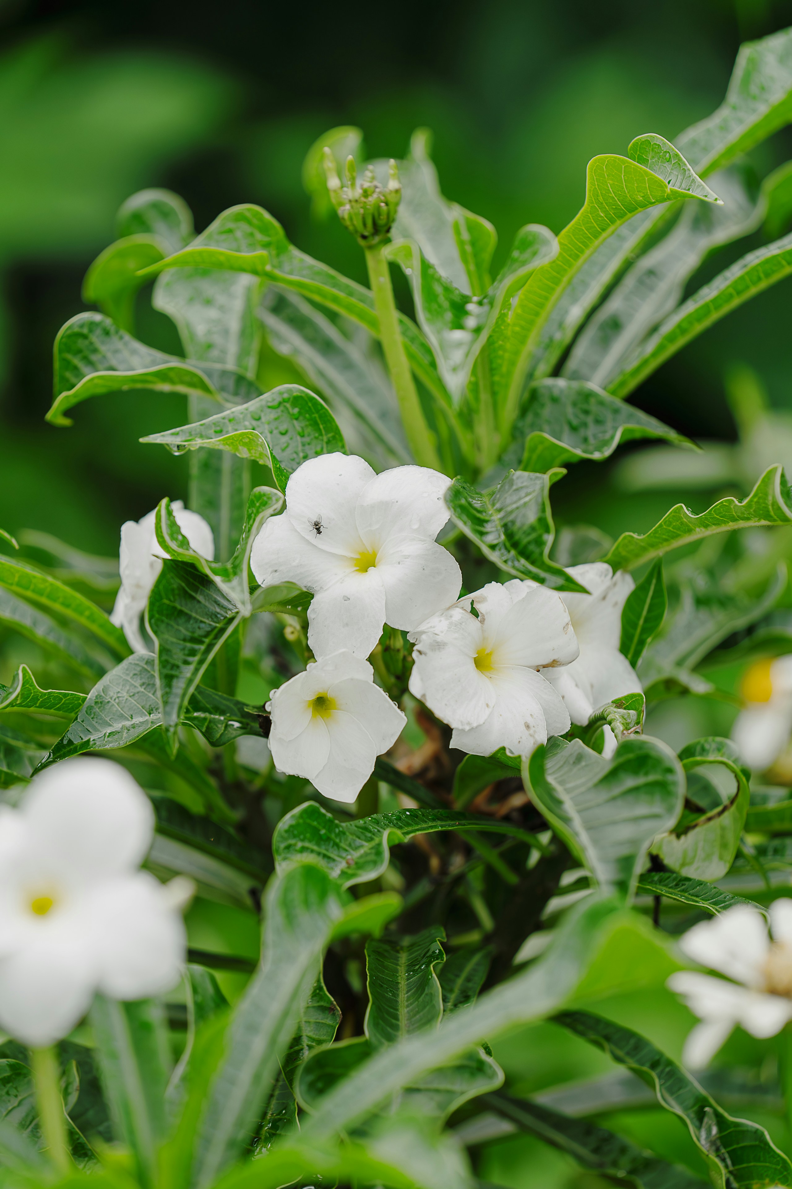 Photo by gosoundmitch