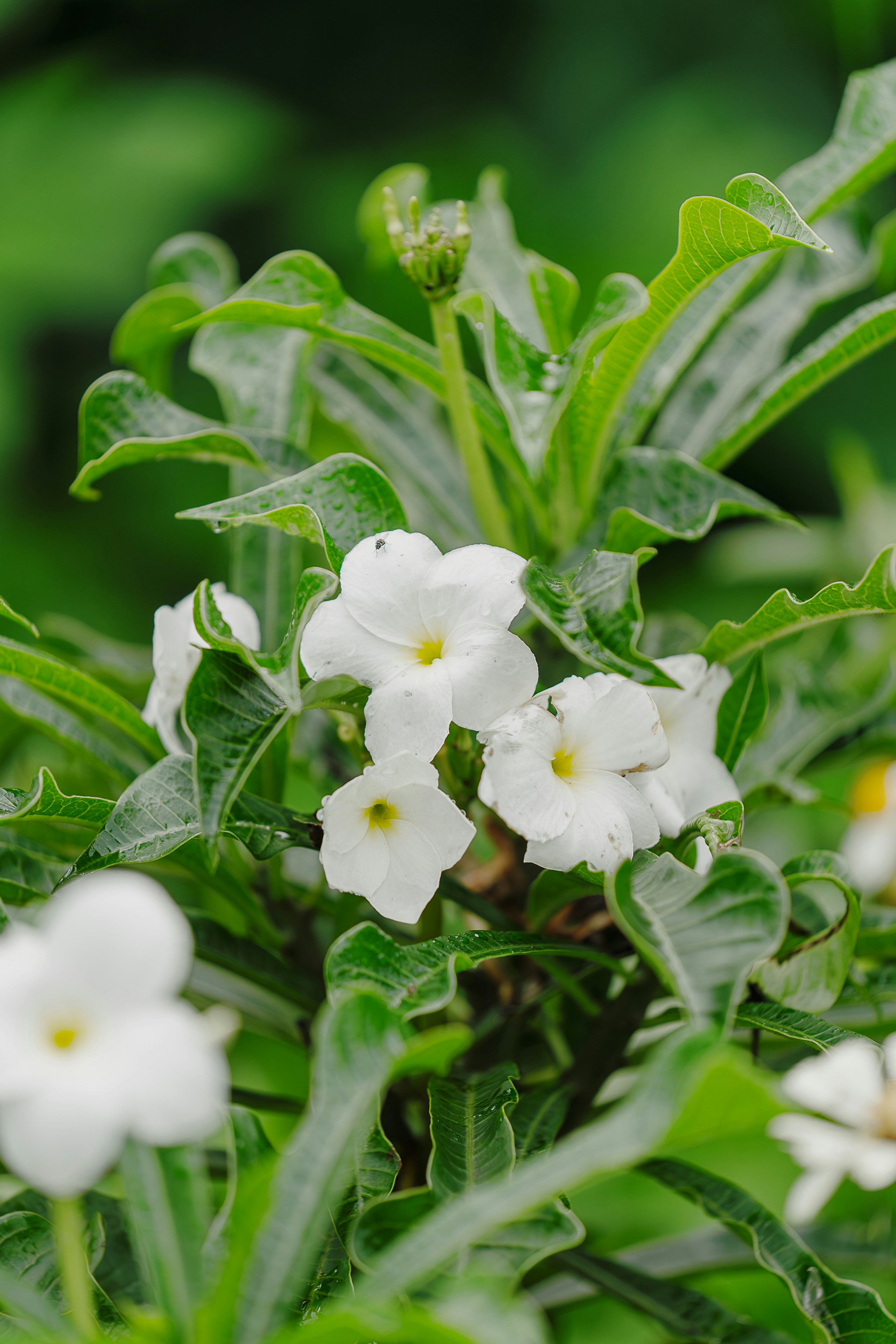 Photo by gosoundmitch