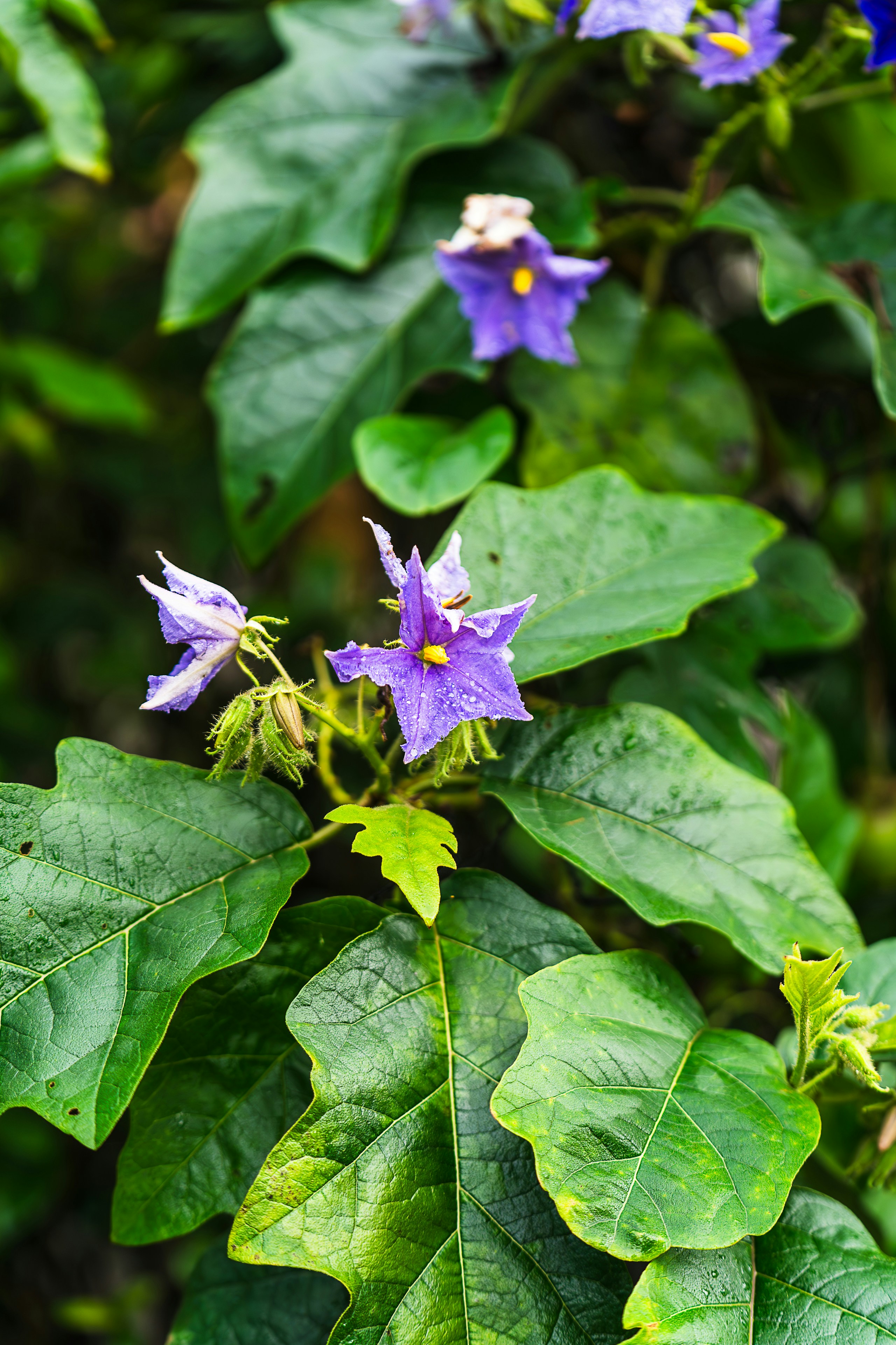 Photo by gosoundmitch