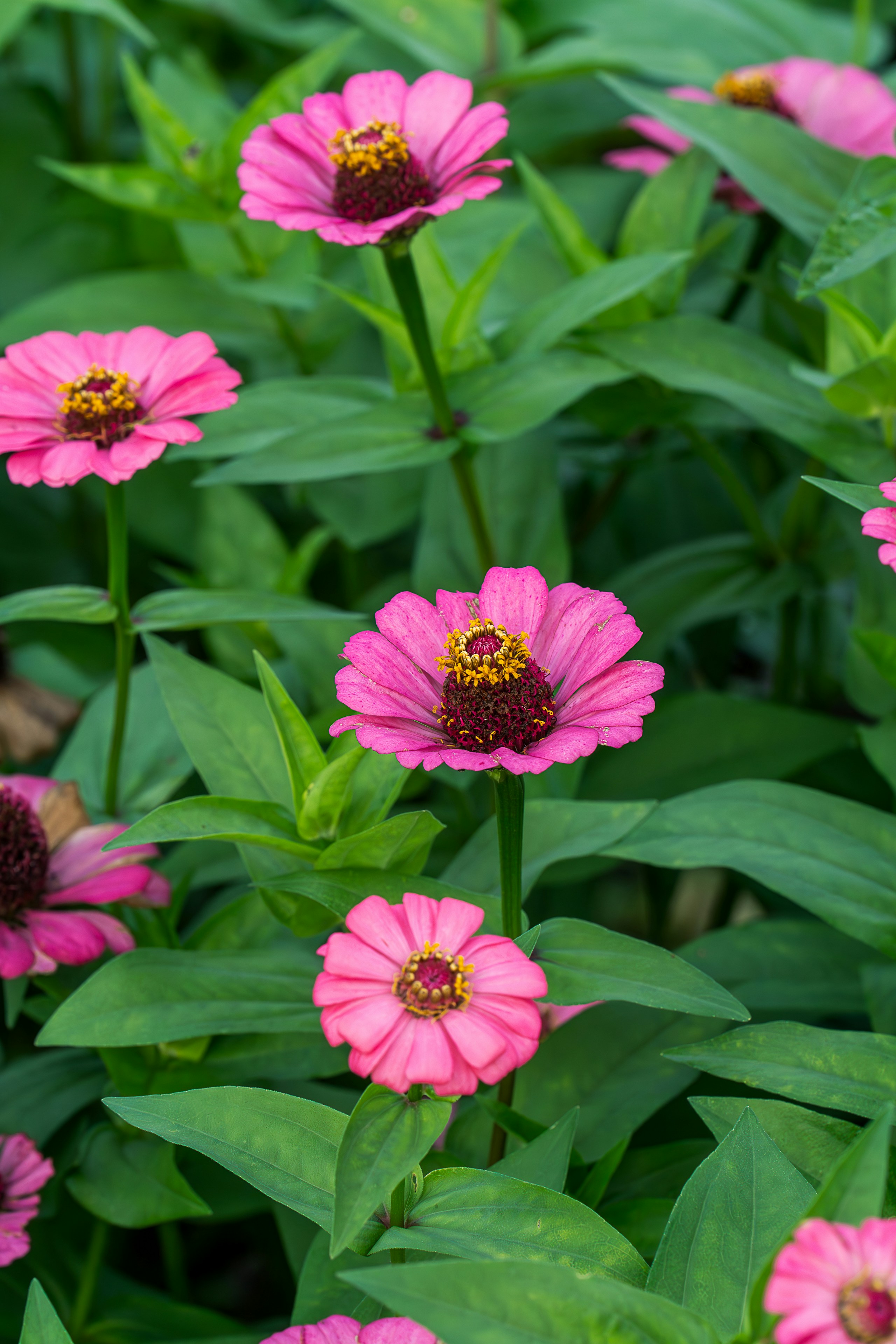 Photo by gosoundmitch