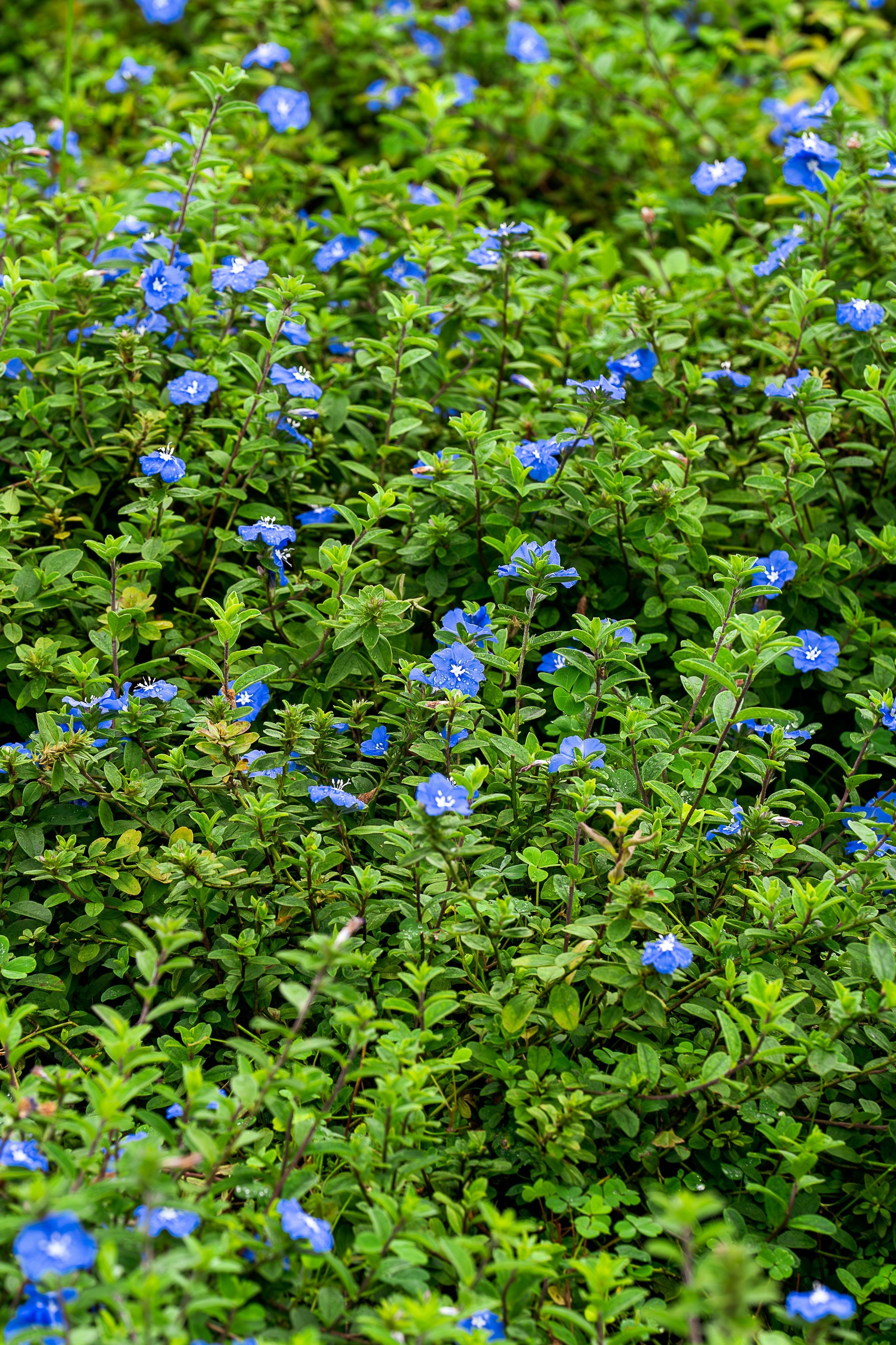 Photo by gosoundmitch