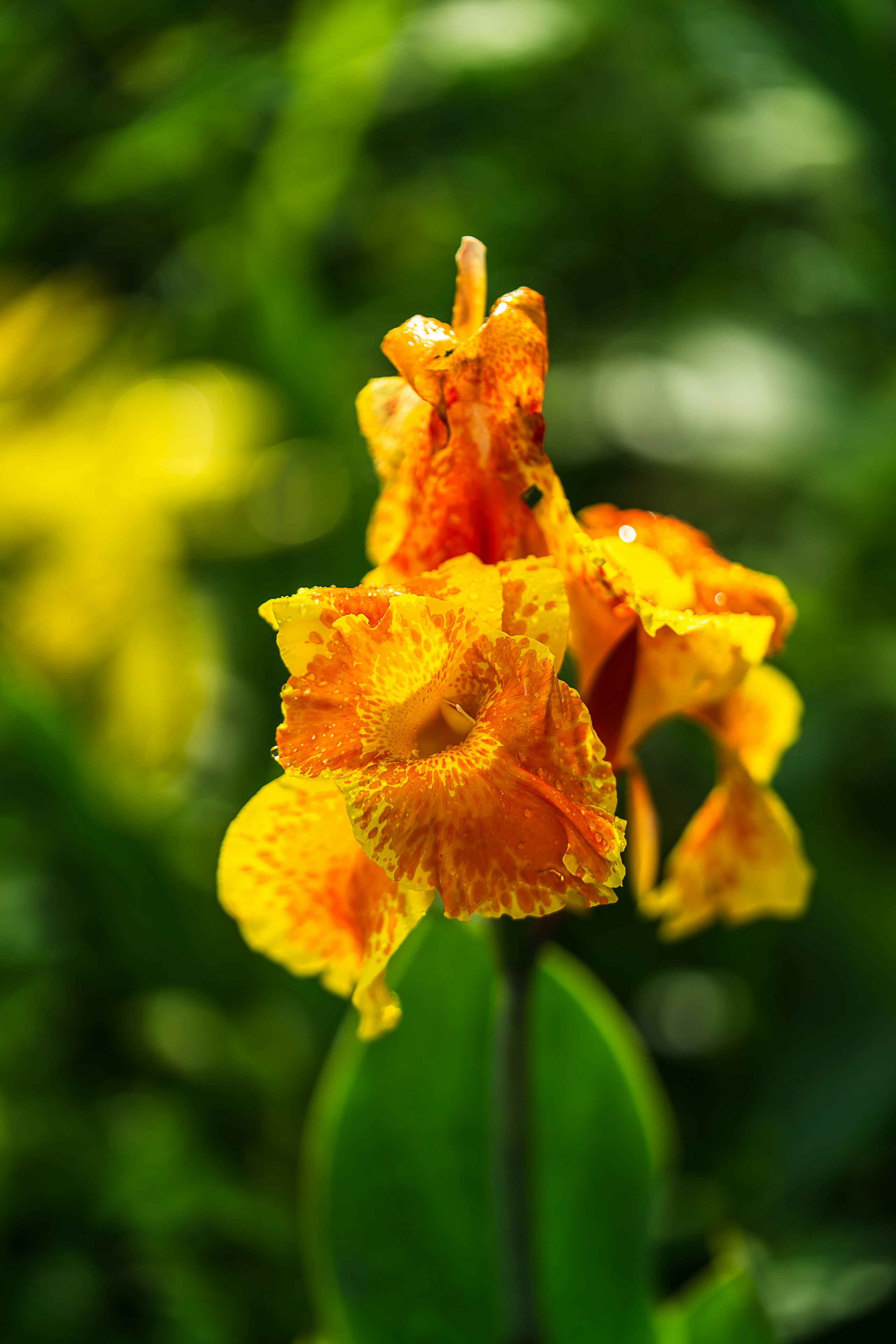 Photo by gosoundmitch