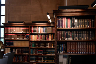 A library with a lot of books on the shelves
