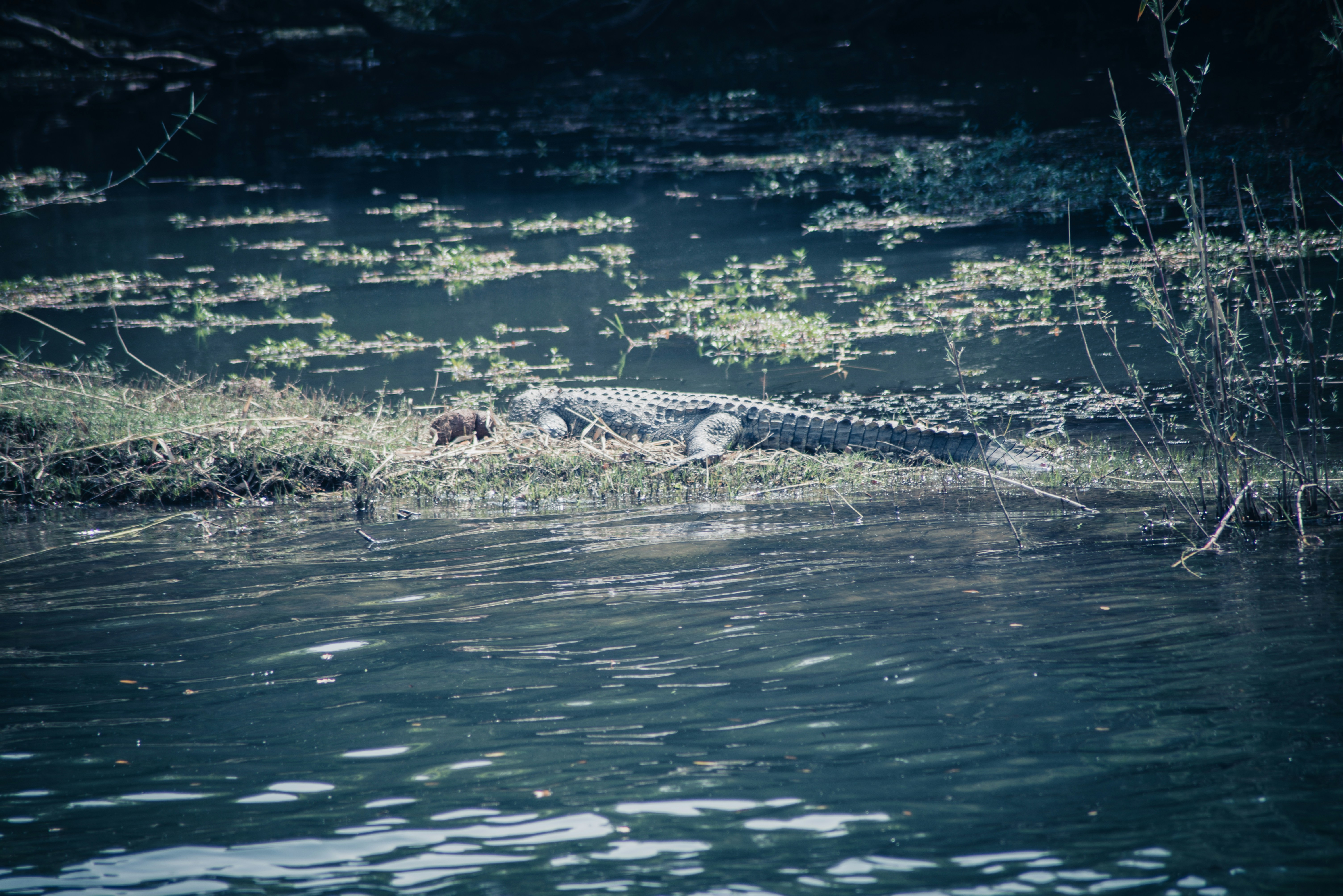 Photo by creative2434