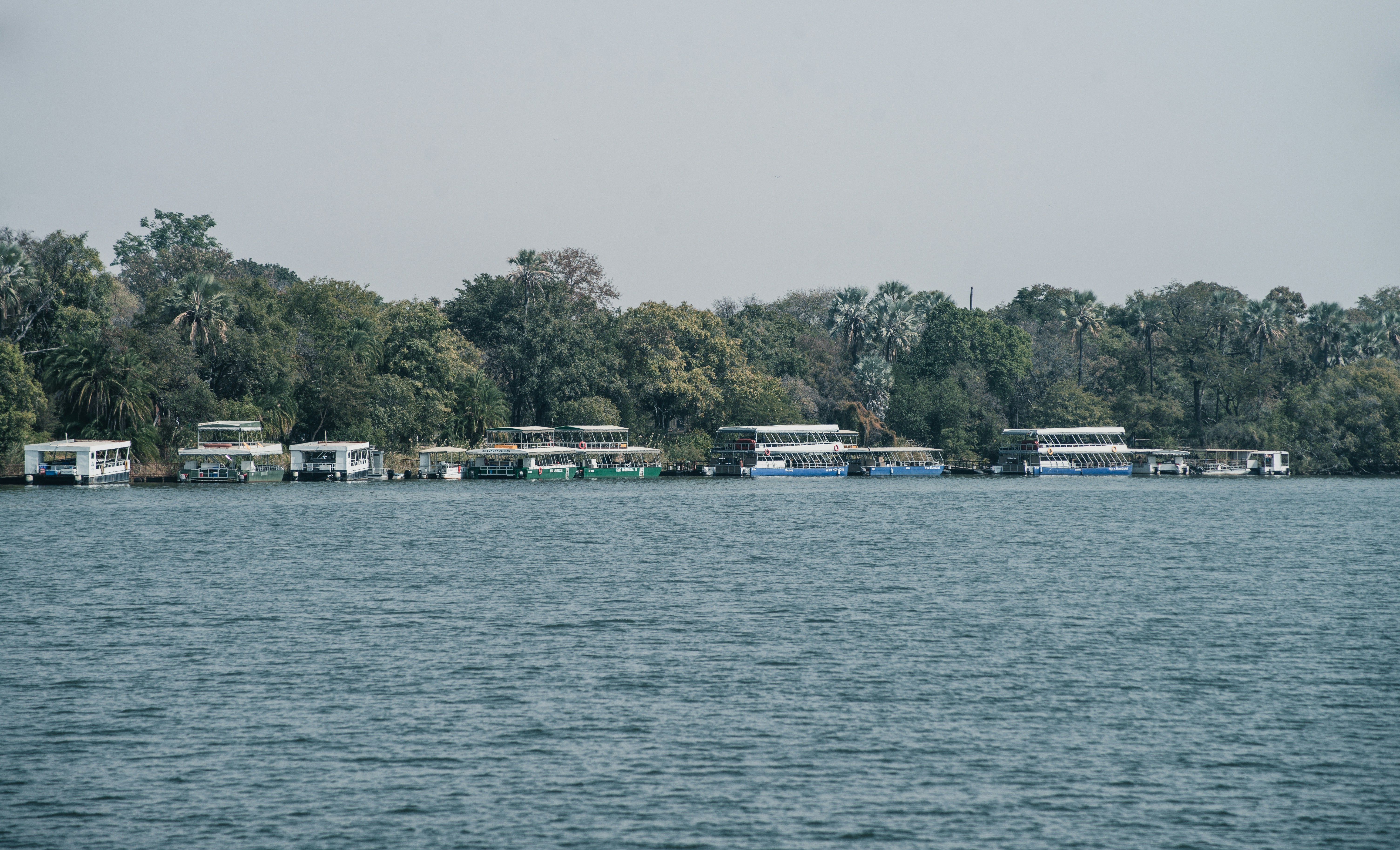 Photo by creative2434