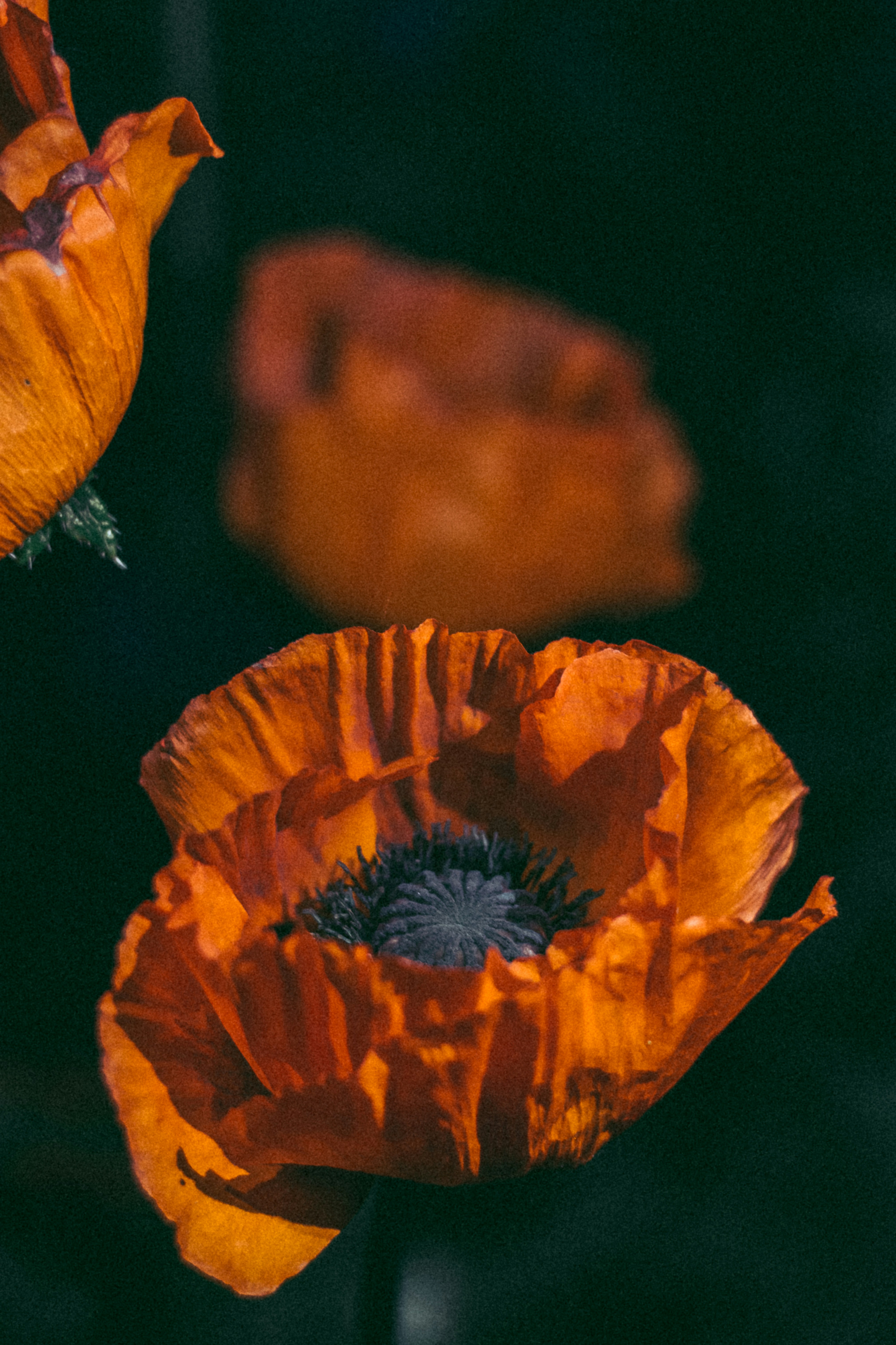Photo by theveryday