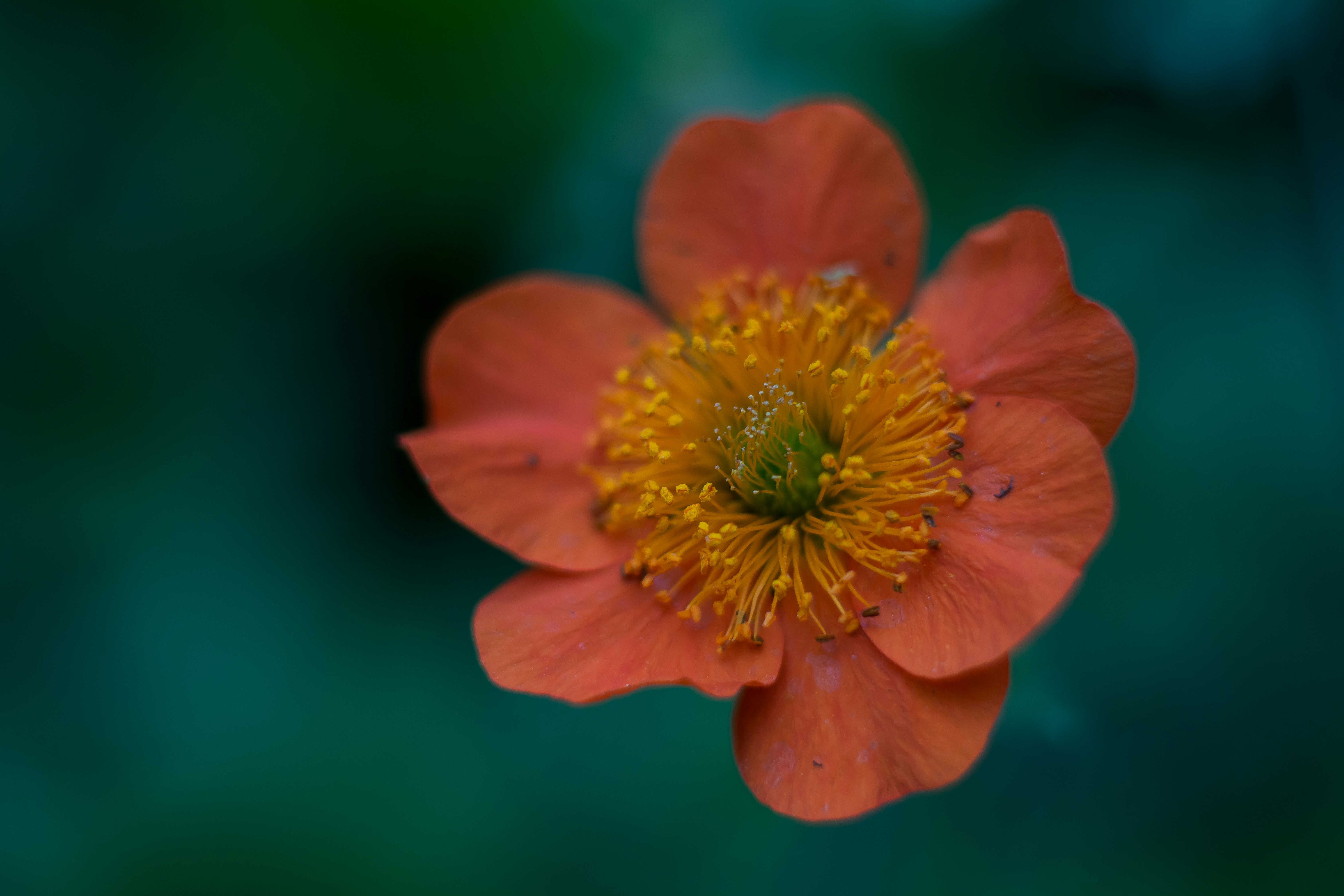 Photo by theveryday
