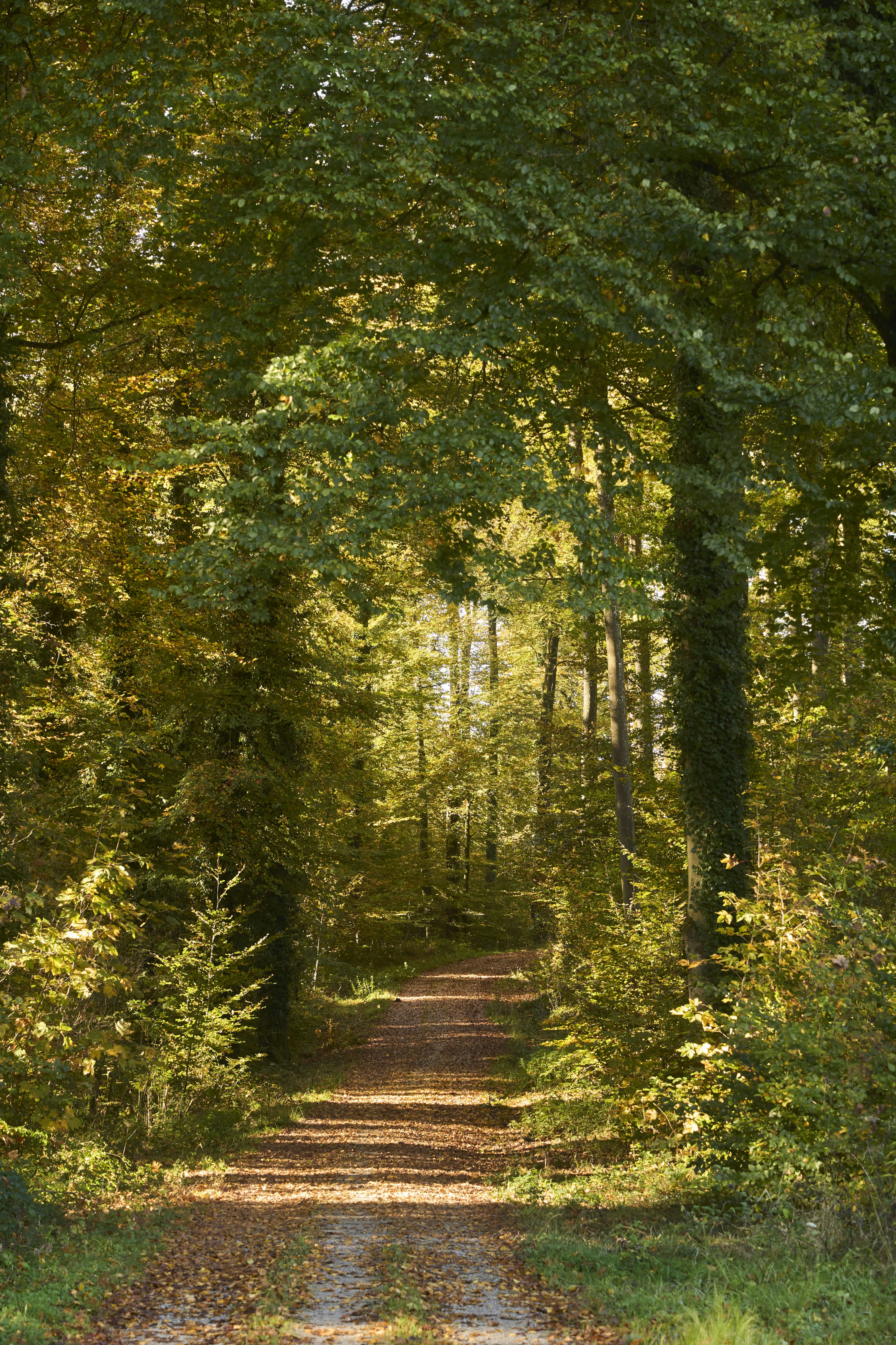 Photo by wolfgang_hasselmann