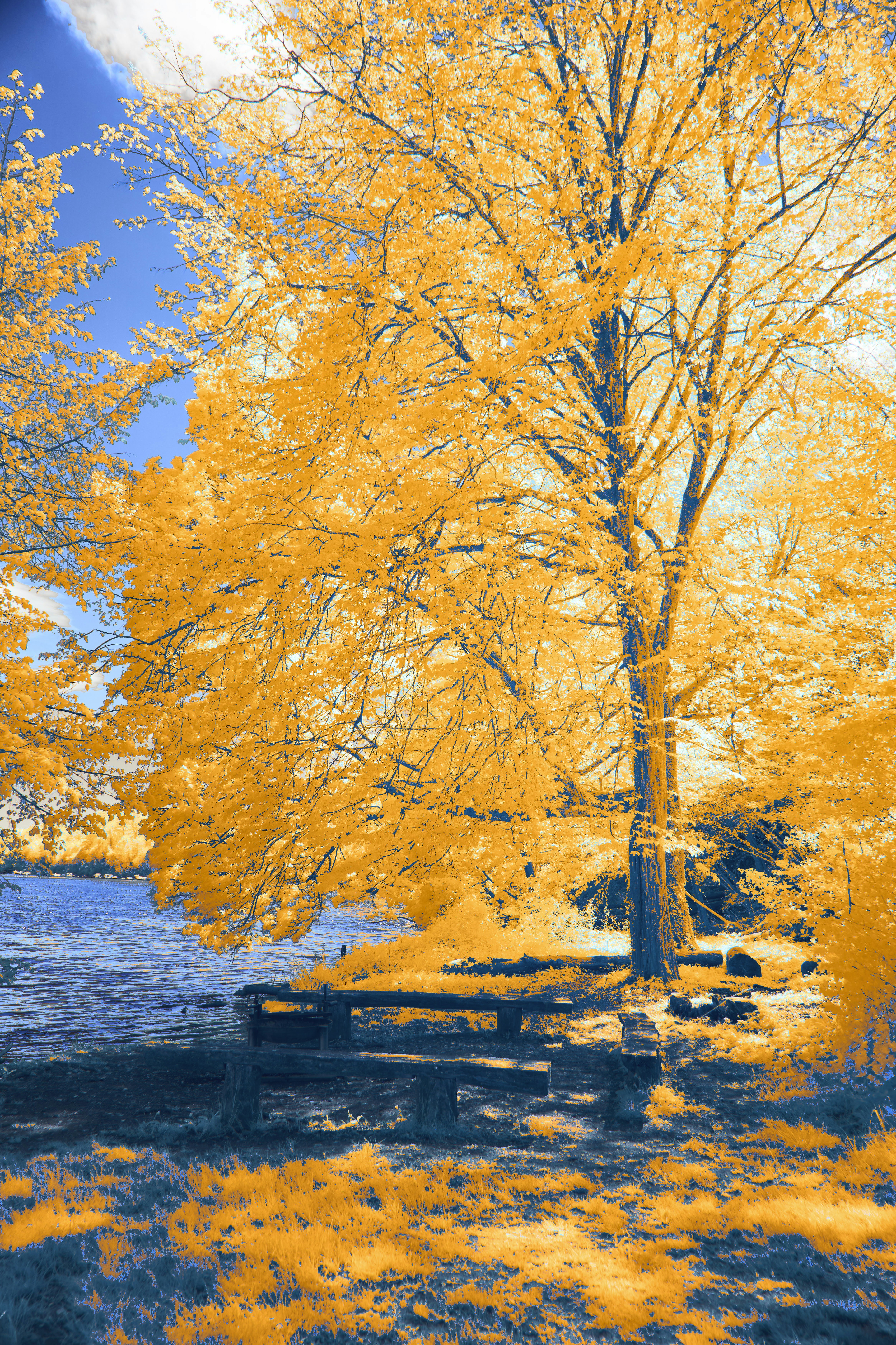 Photo by wolfgang_hasselmann