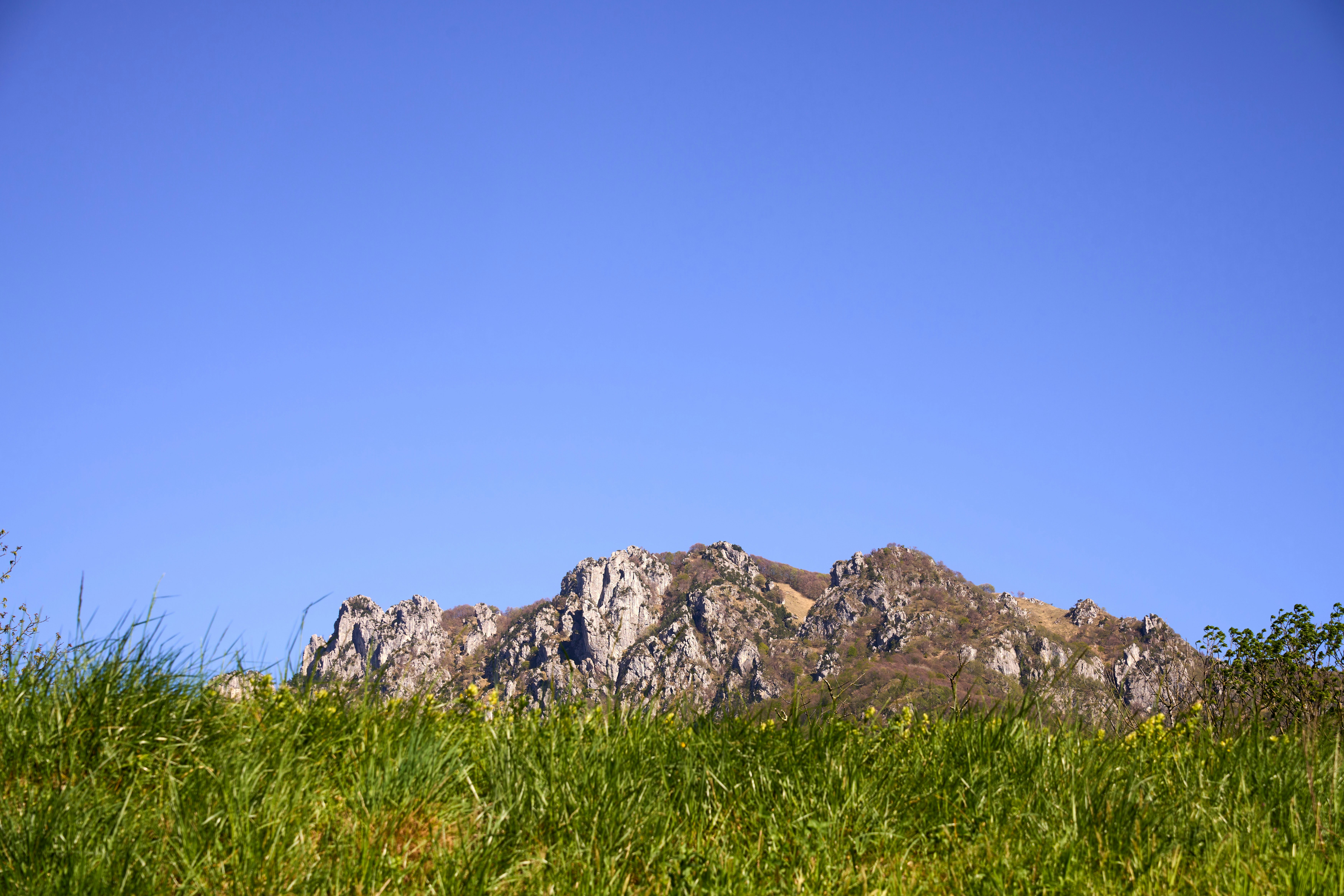 Photo by wolfgang_hasselmann