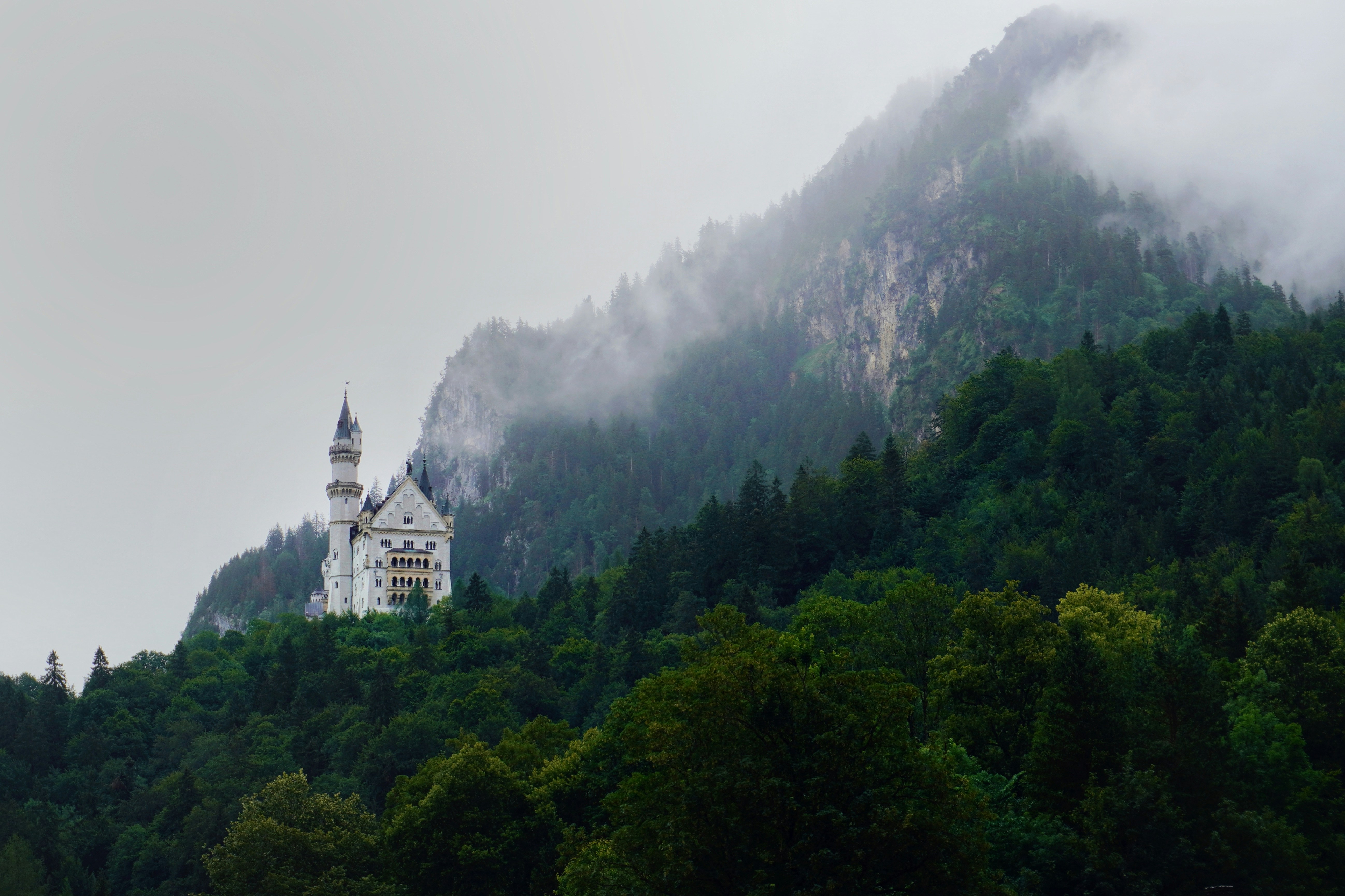 Photo by alettadnagy