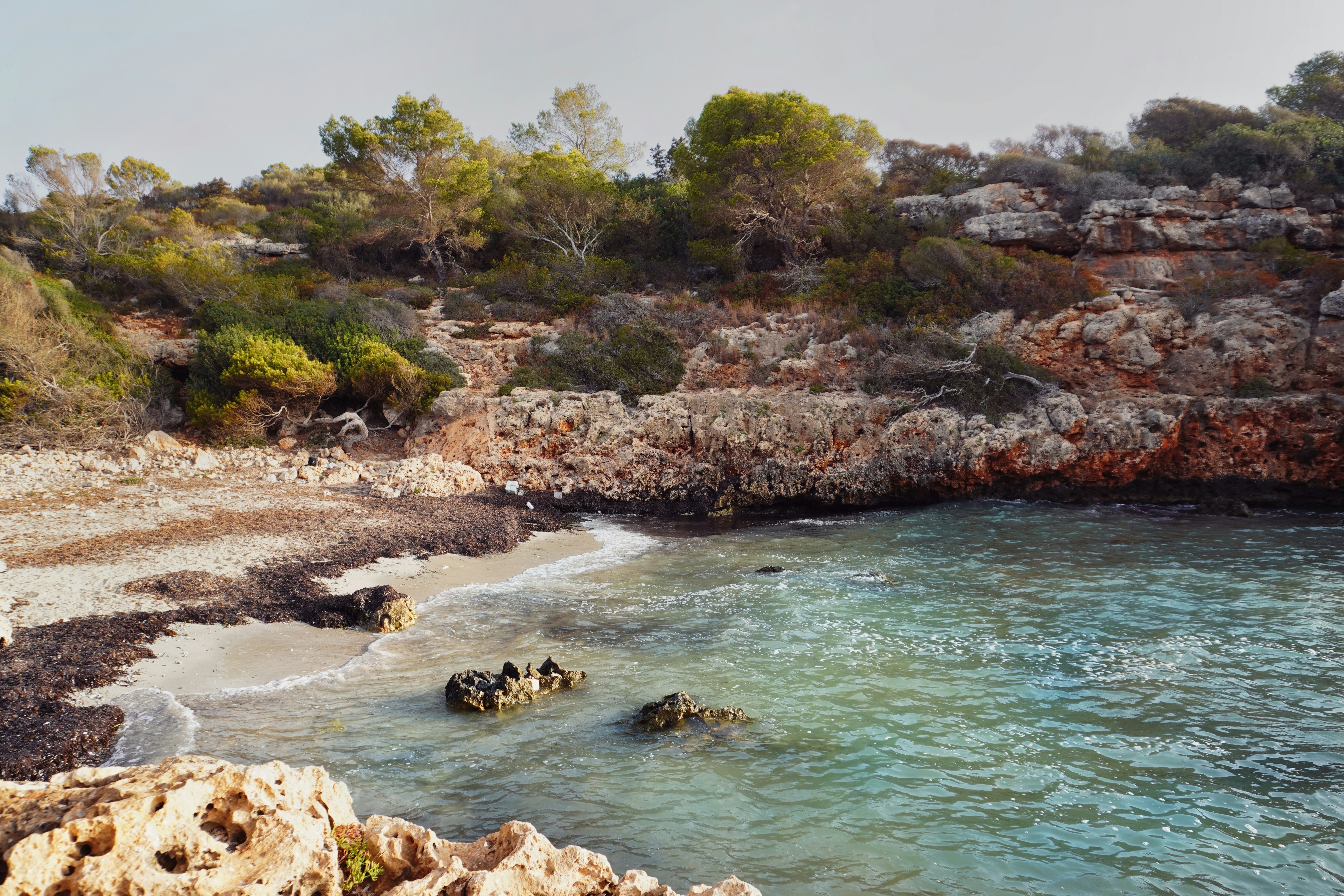 Photo by alettadnagy