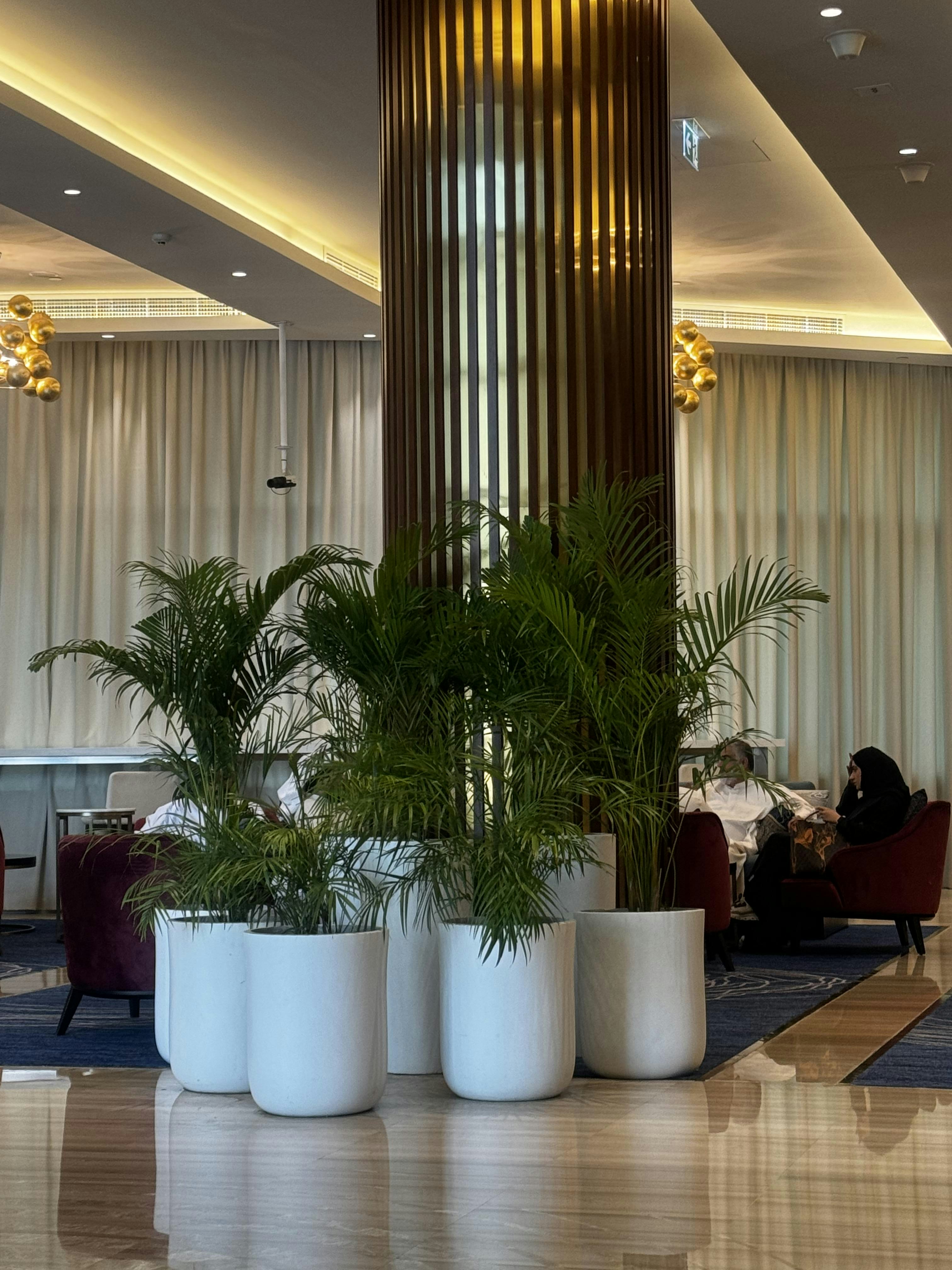 Photo by kingsleyukeje