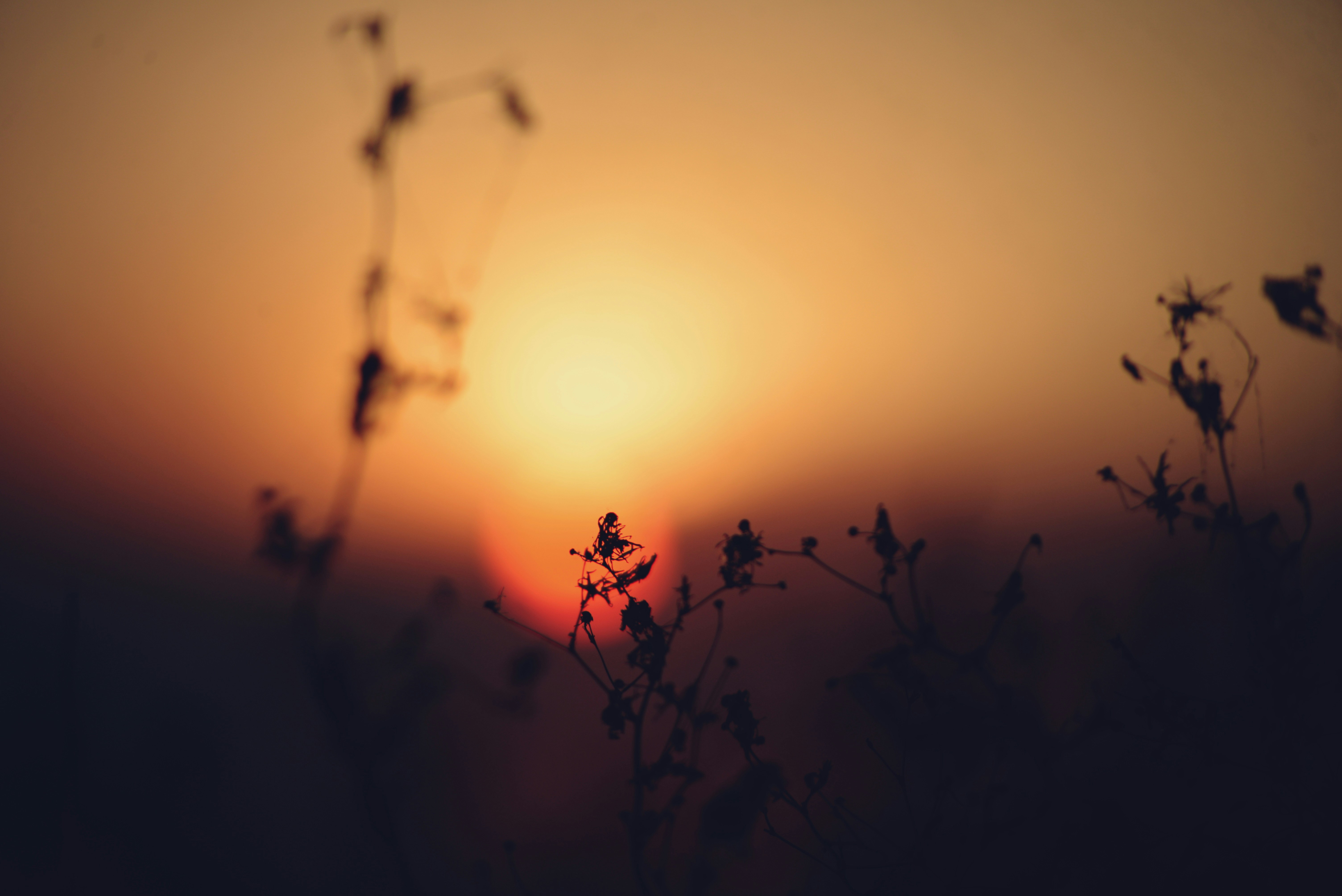 Photo by cherstve_pechivo