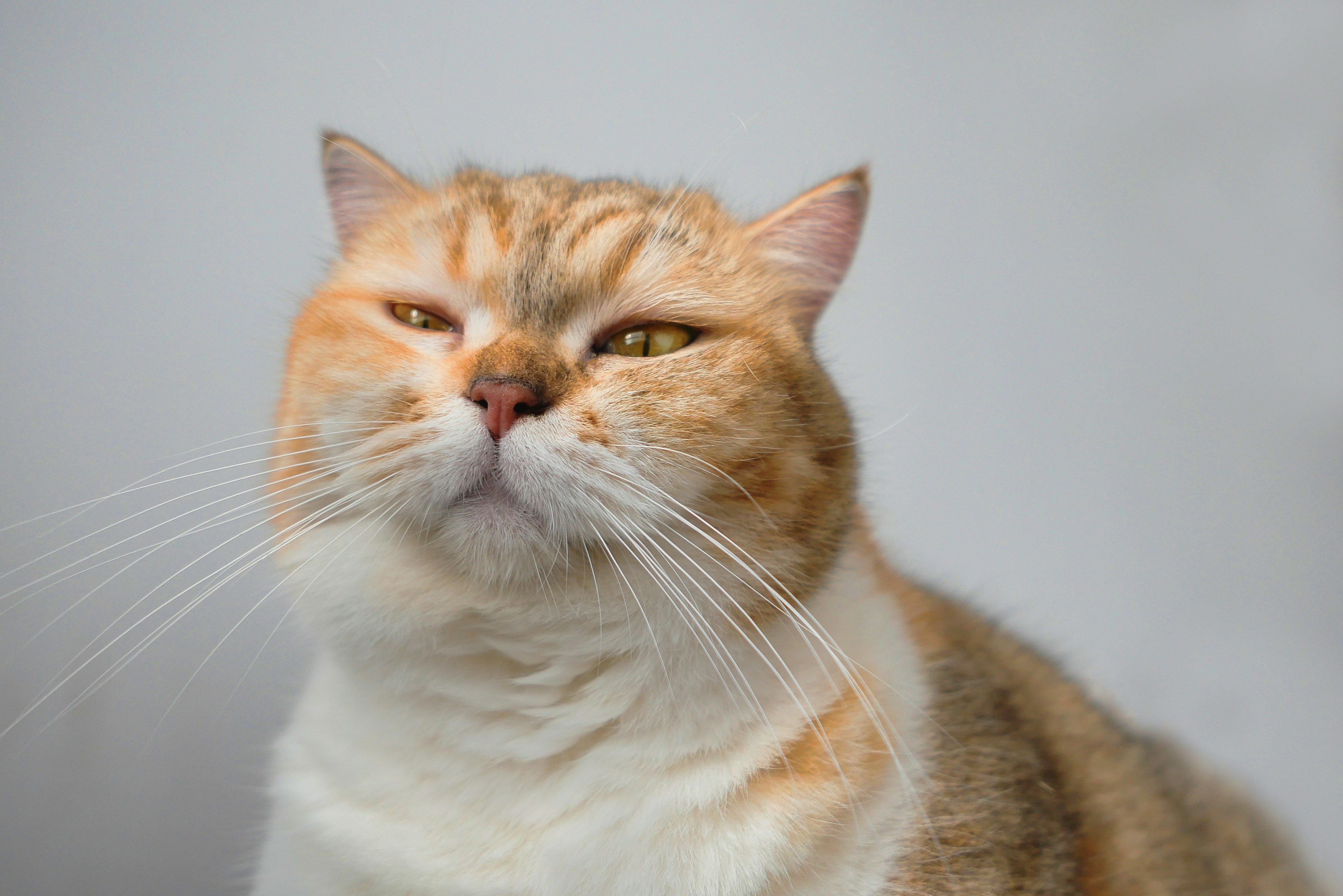 Photo by tranmautritam