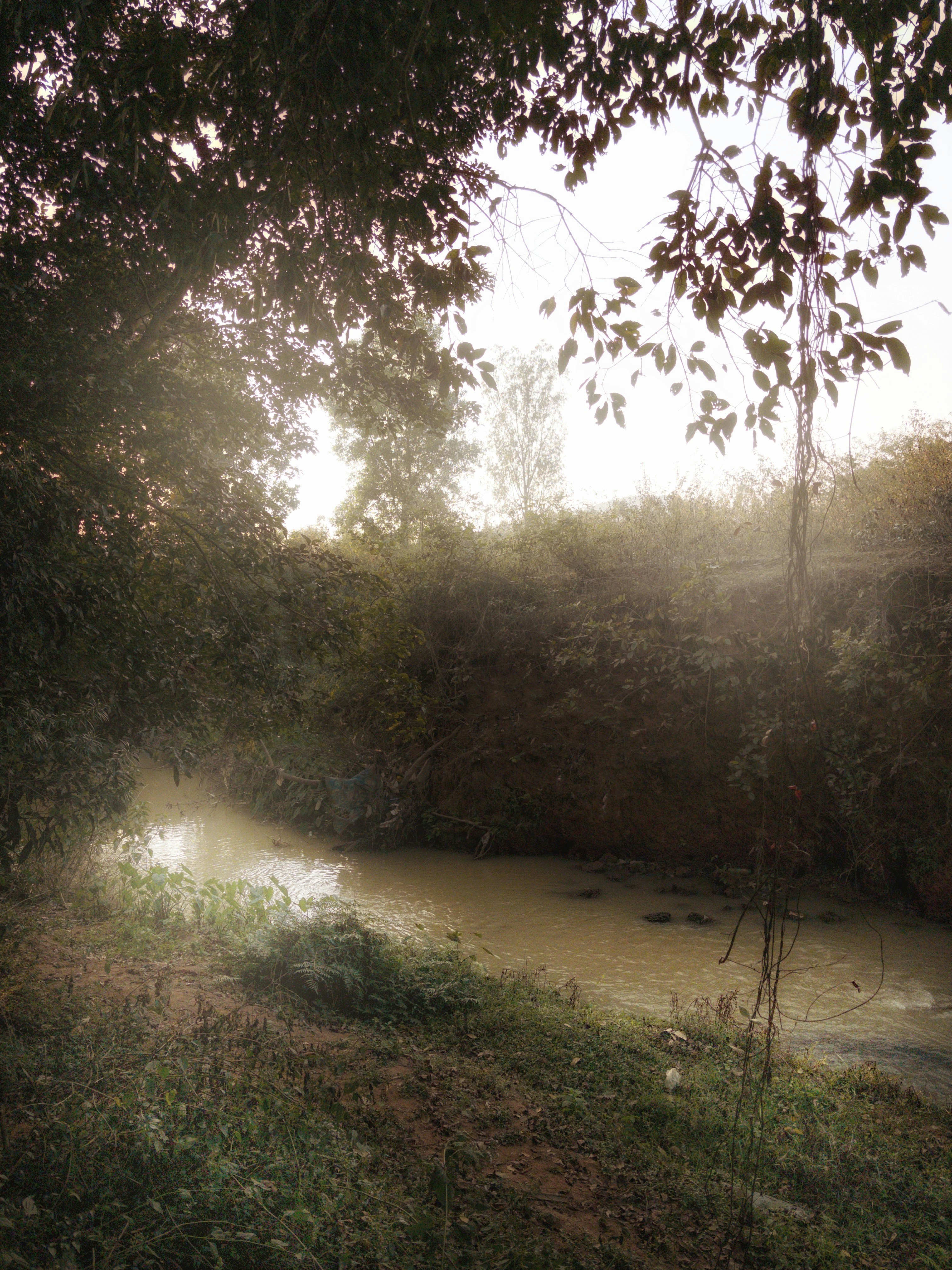 Photo by jasperamethyst