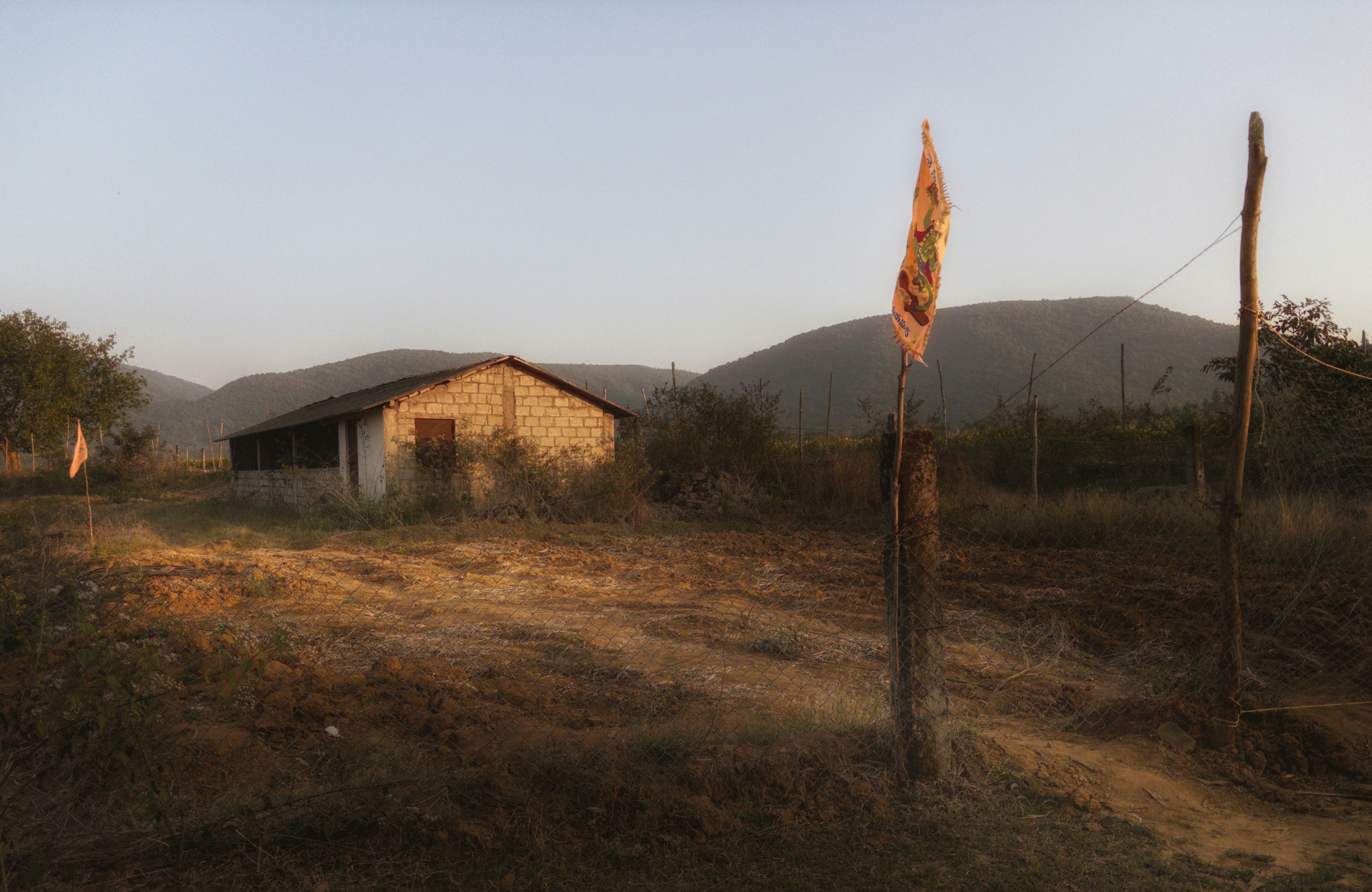 Photo by jasperamethyst