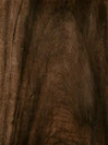 Close-up of dark wood grain texture