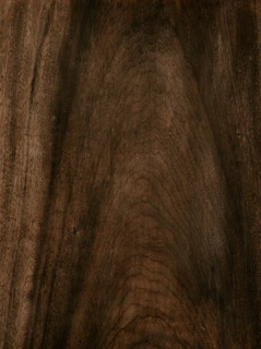 Close-up of dark wood grain texture