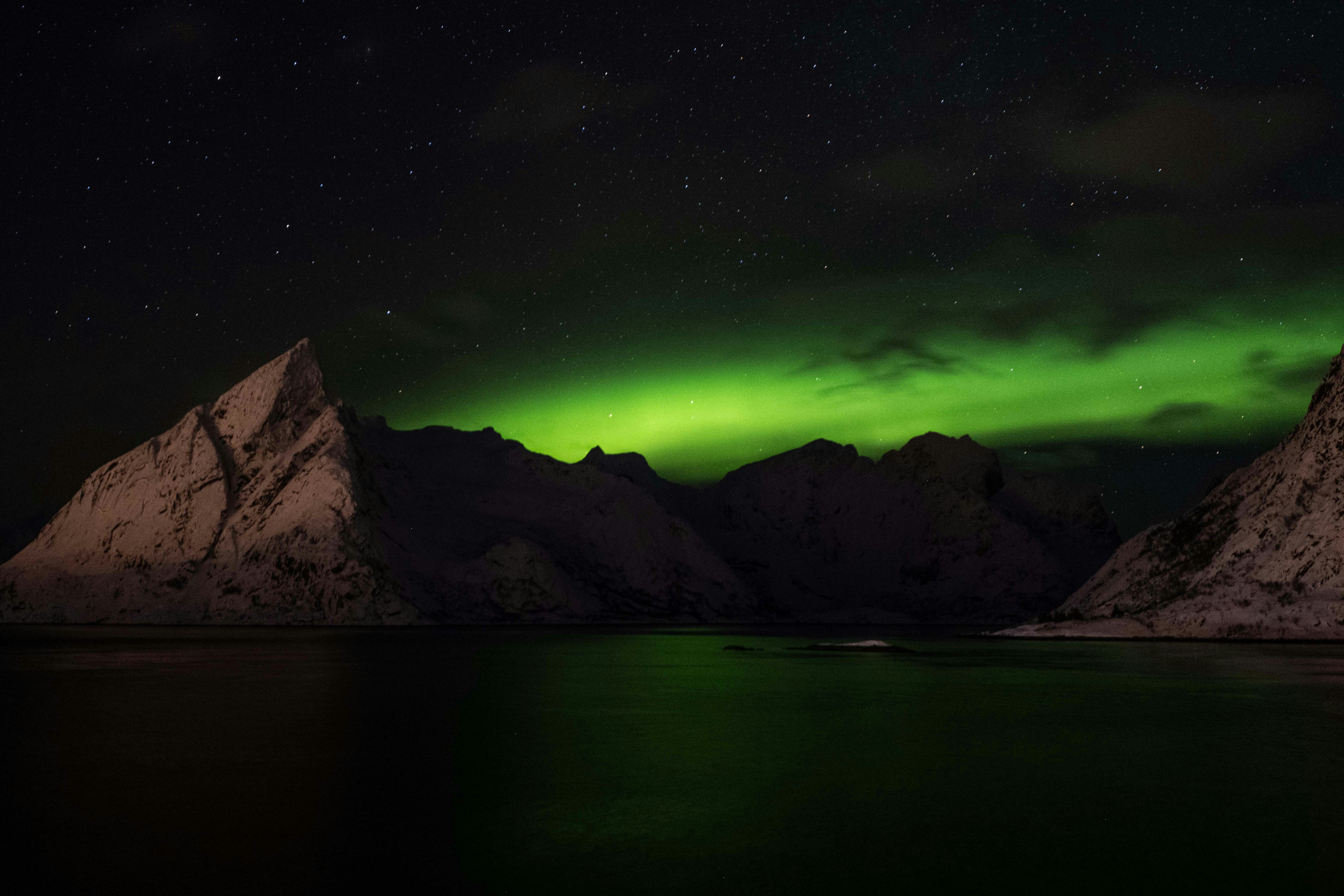 Photo by francesco_ungaro