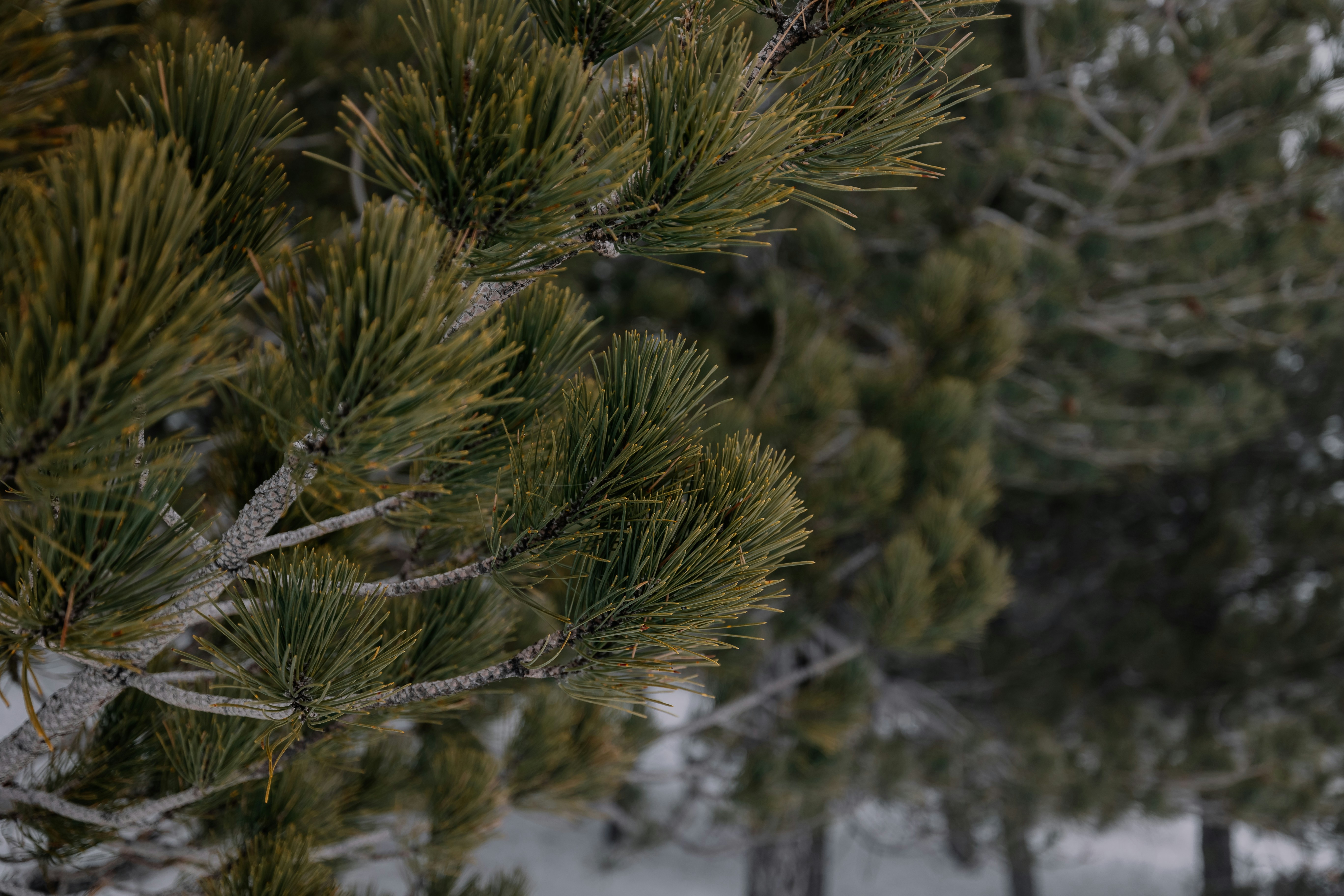 Photo by joseph_recca