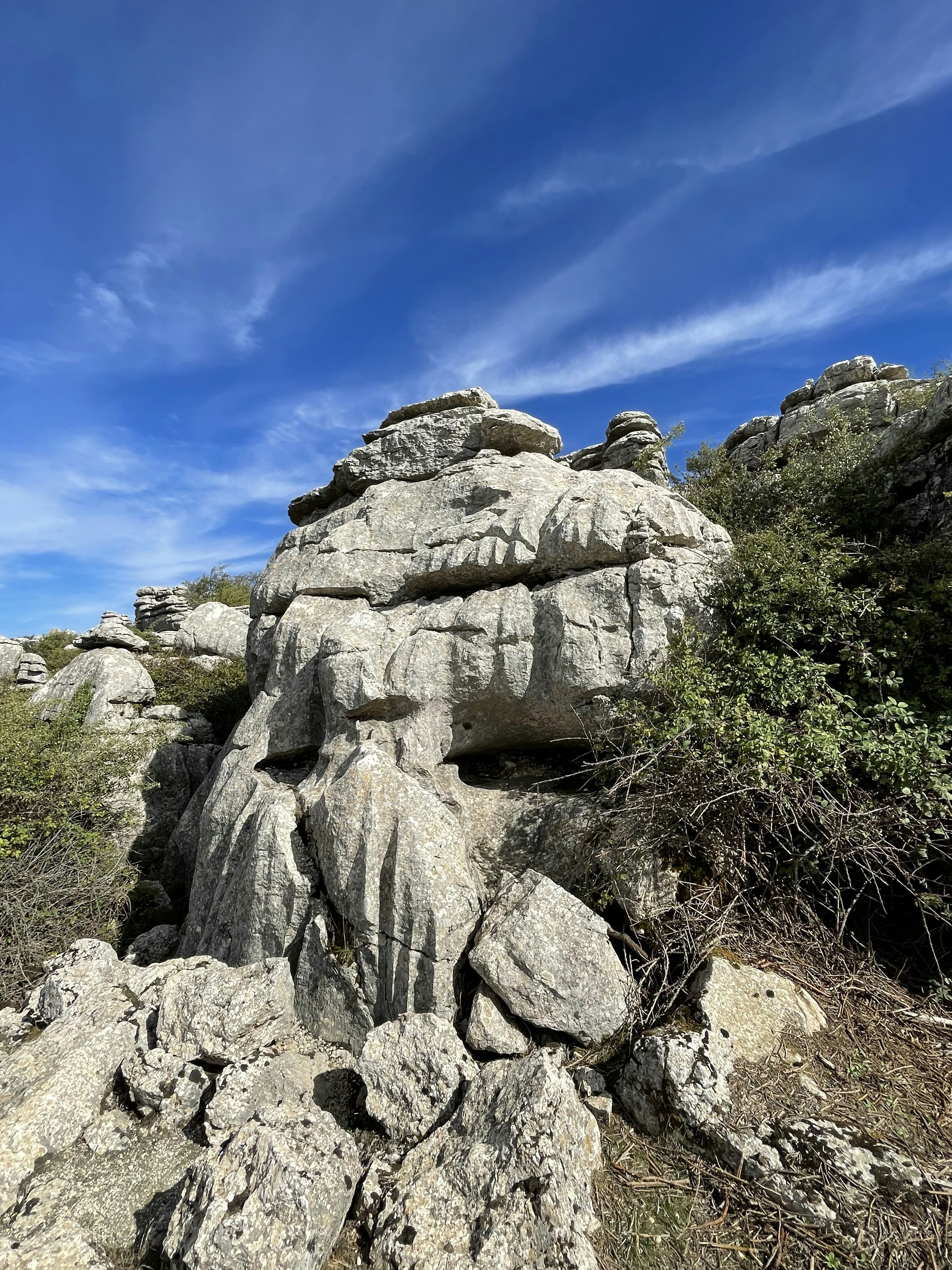 Photo by vandenvelder1959