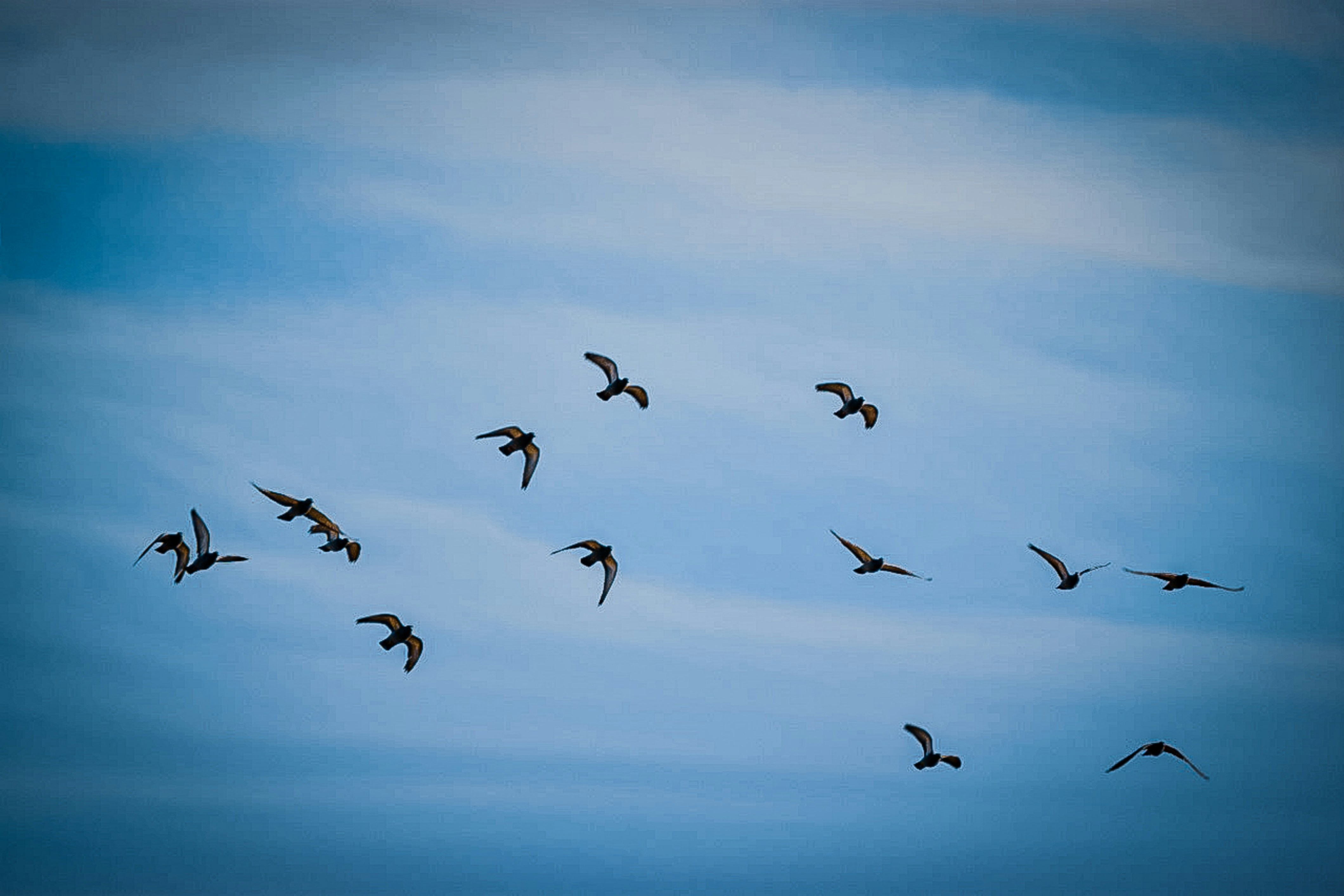 Photo by shadowframesin