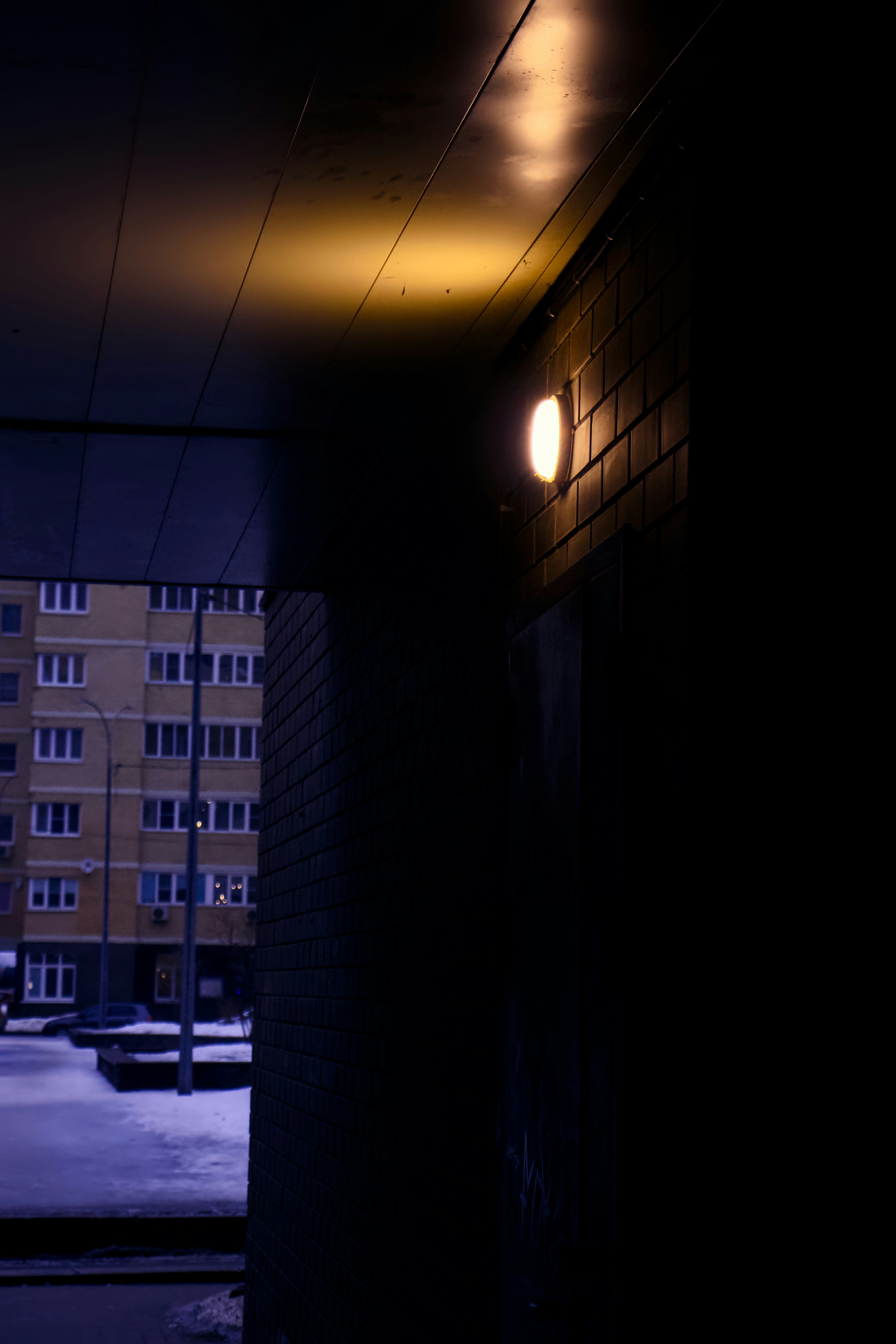 Photo by mihmihfoto