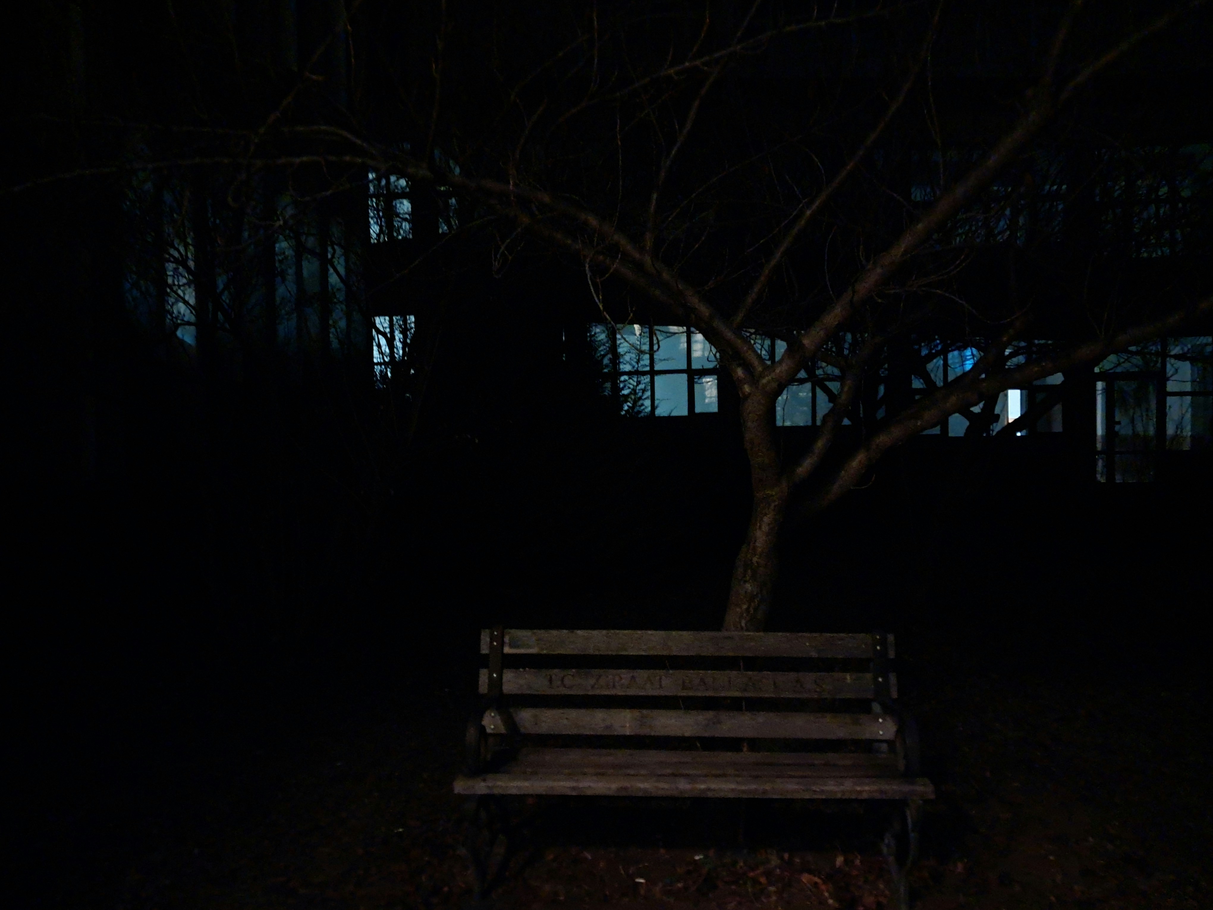 Photo by zeynepkalaca