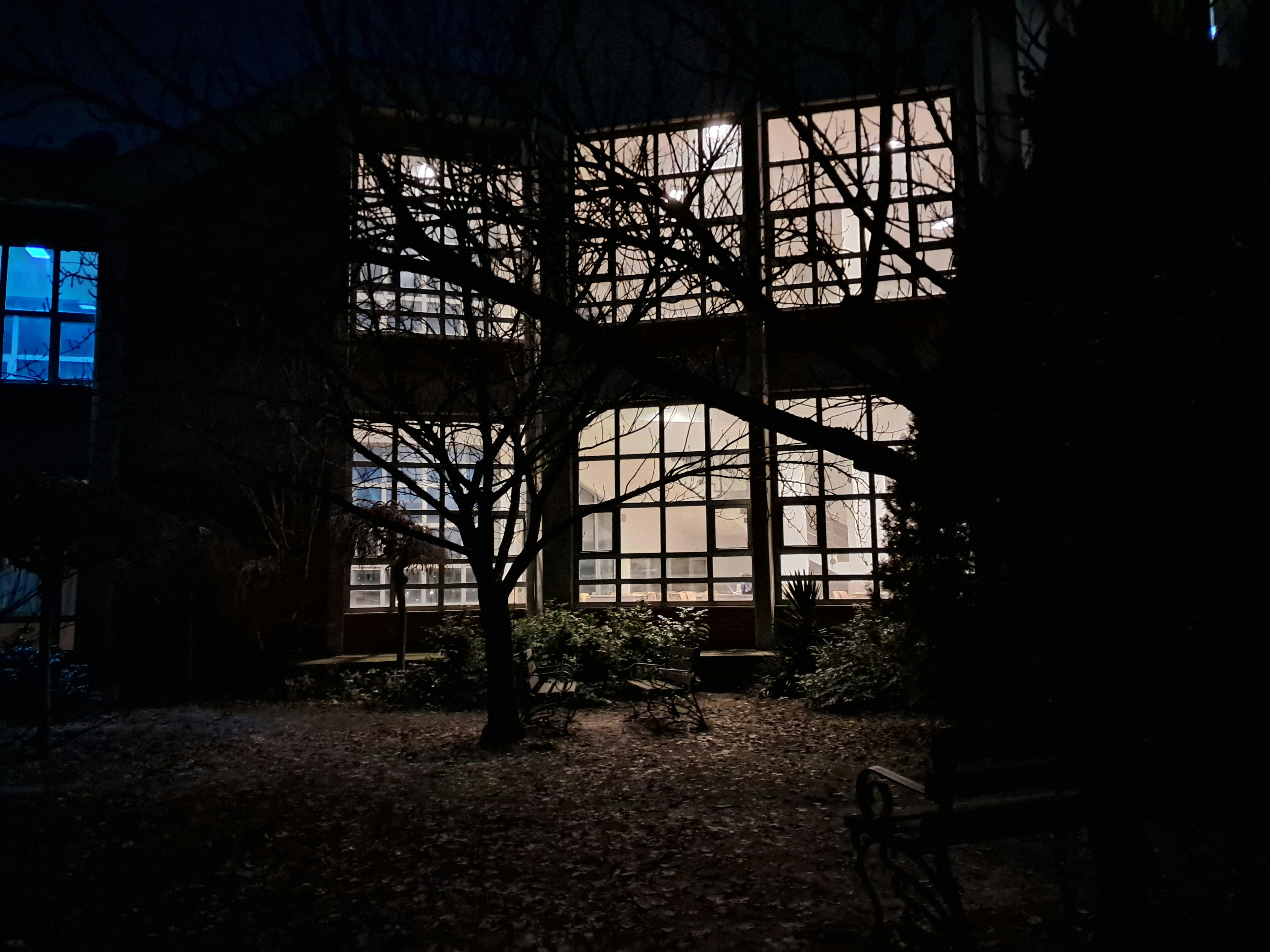 Photo by zeynepkalaca