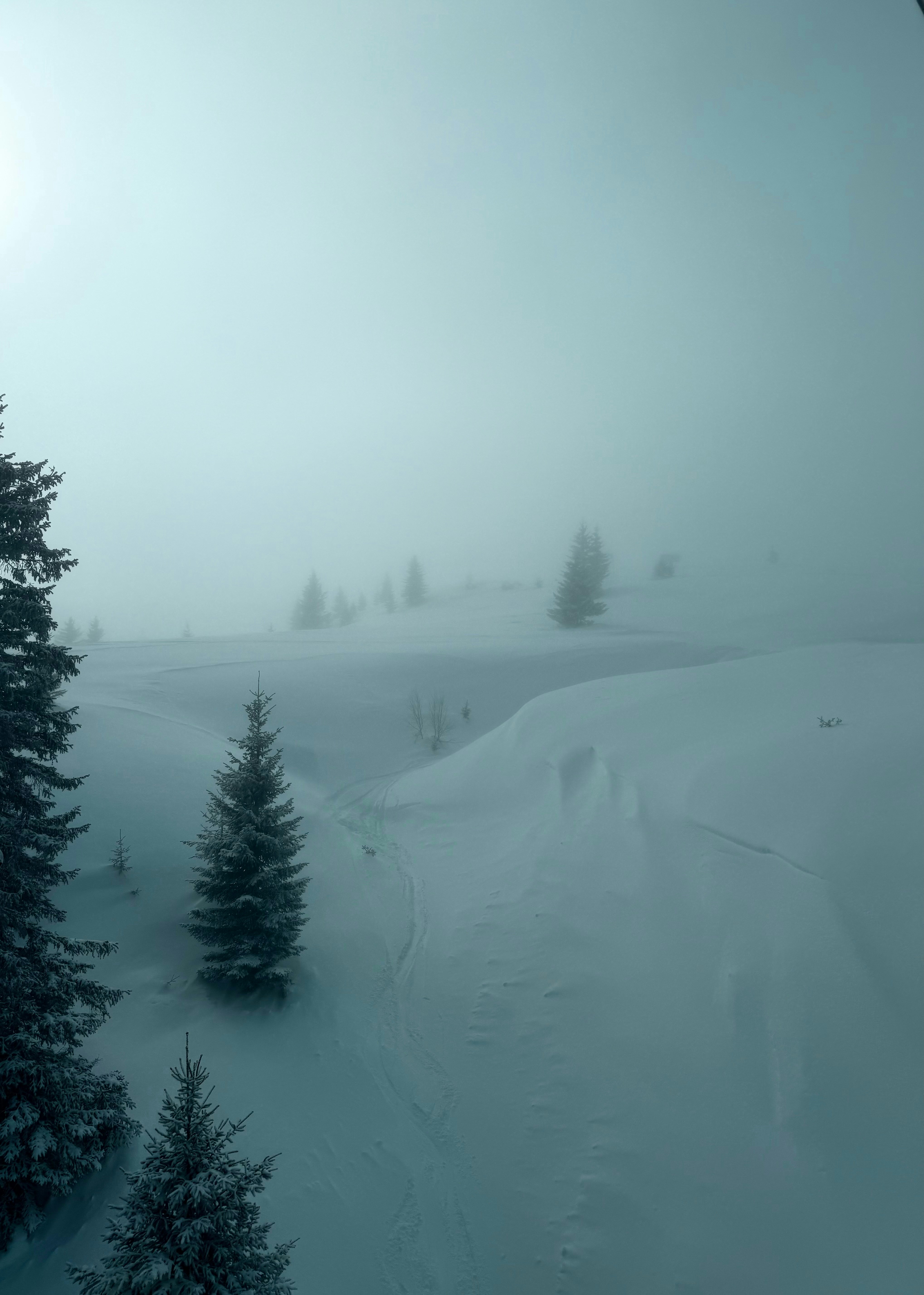 A snow covered mountain with trees in the foreground