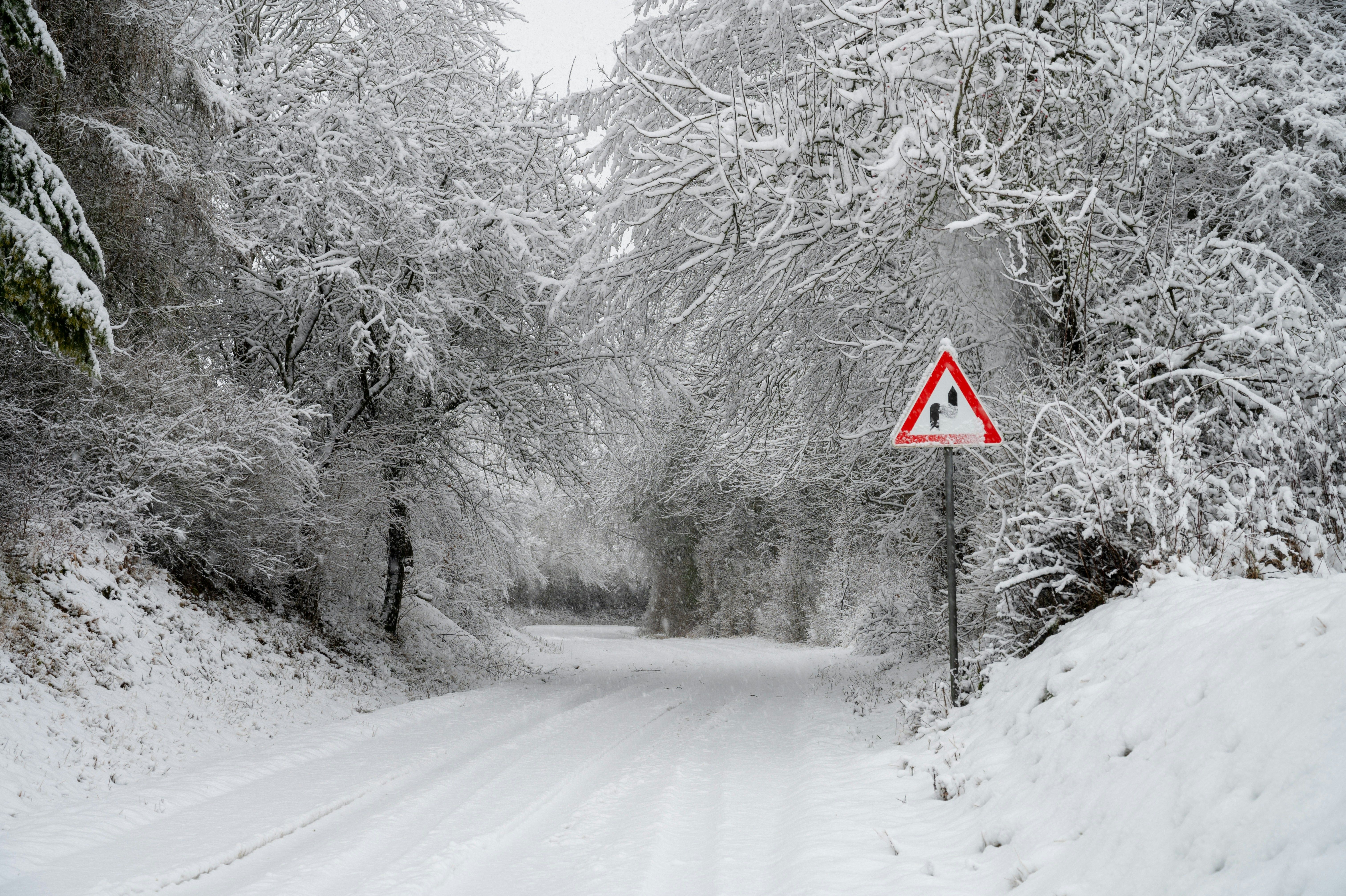 Photo by ad_sportfotograf