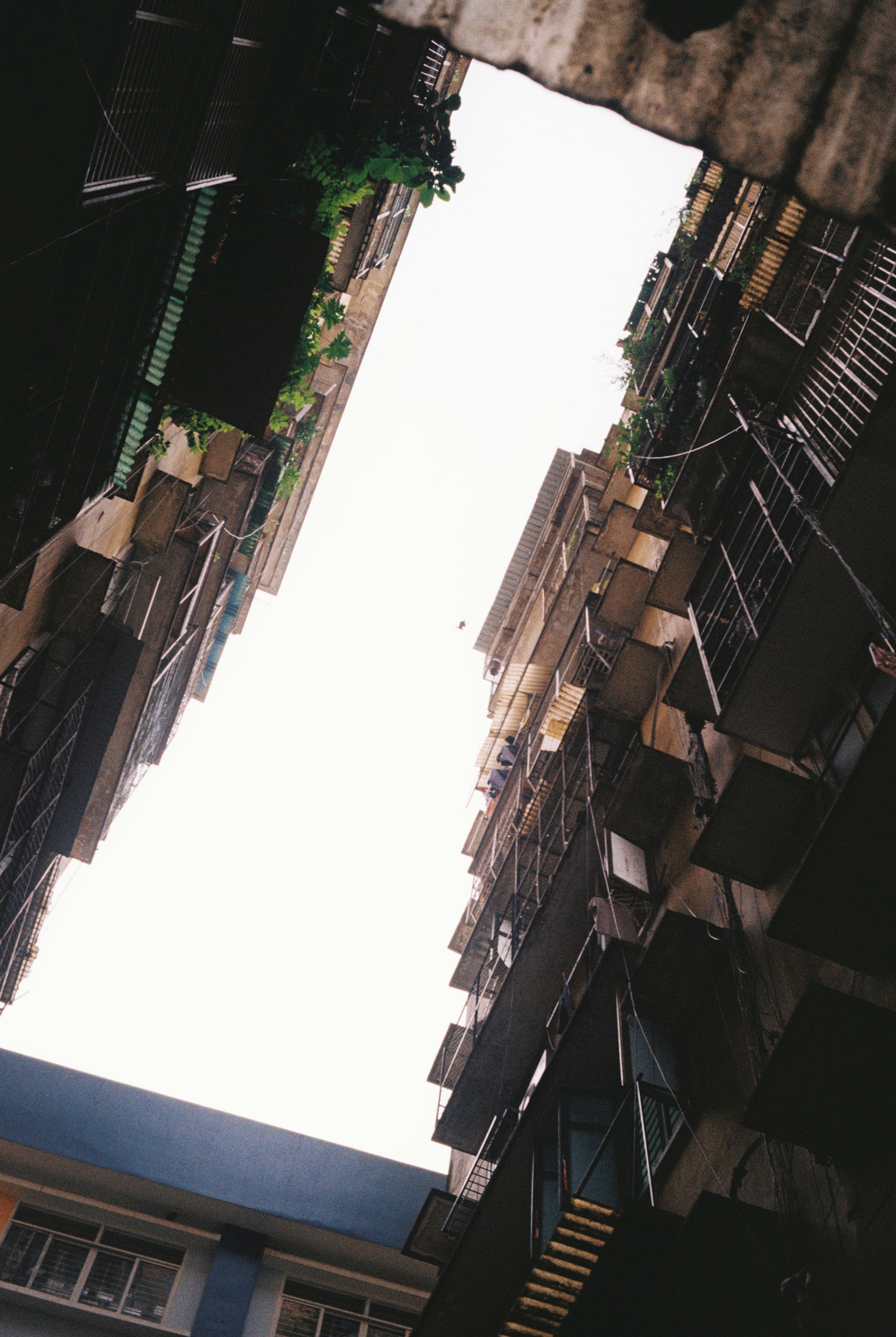 Photo by donguyenkhanhs