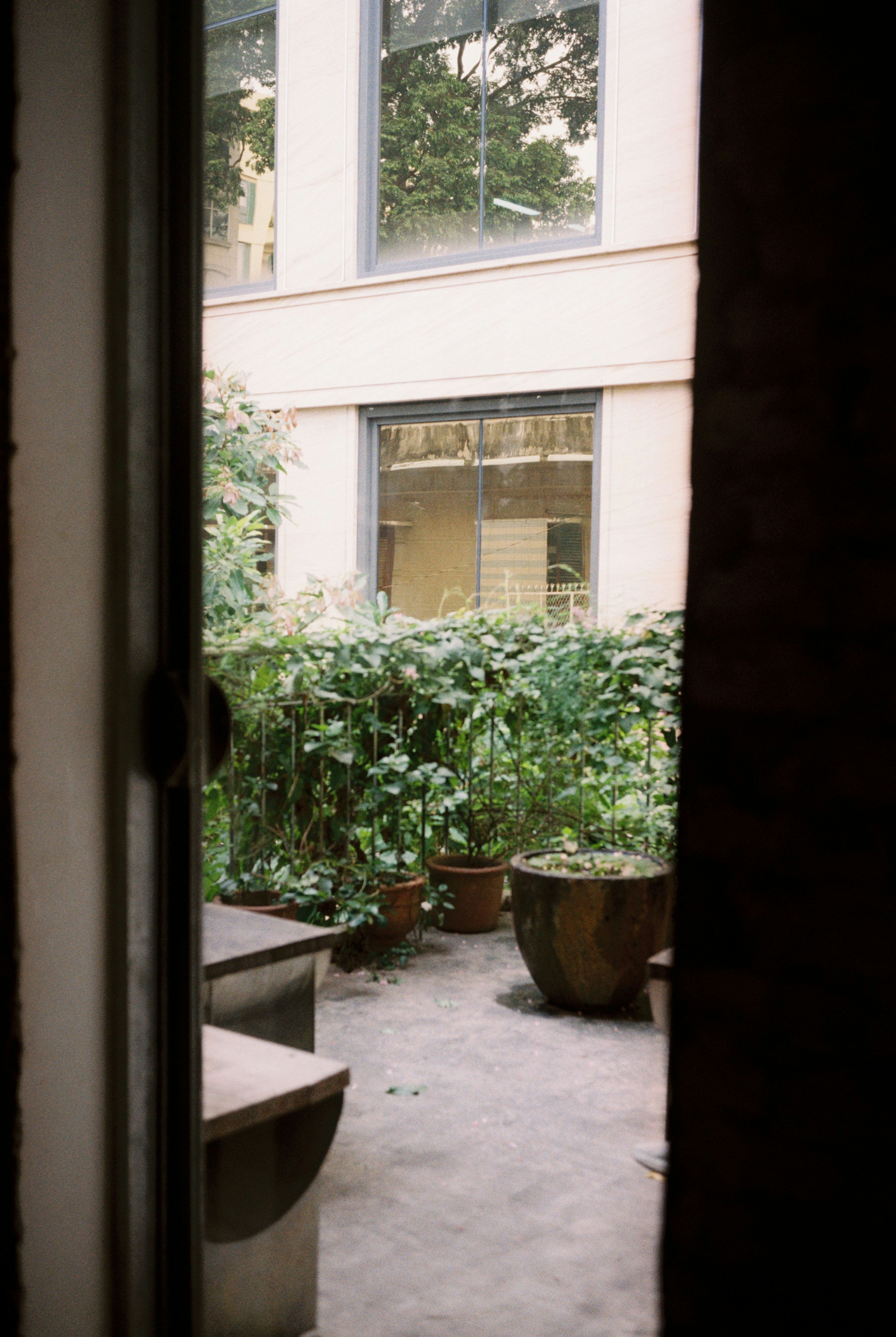 Photo by donguyenkhanhs