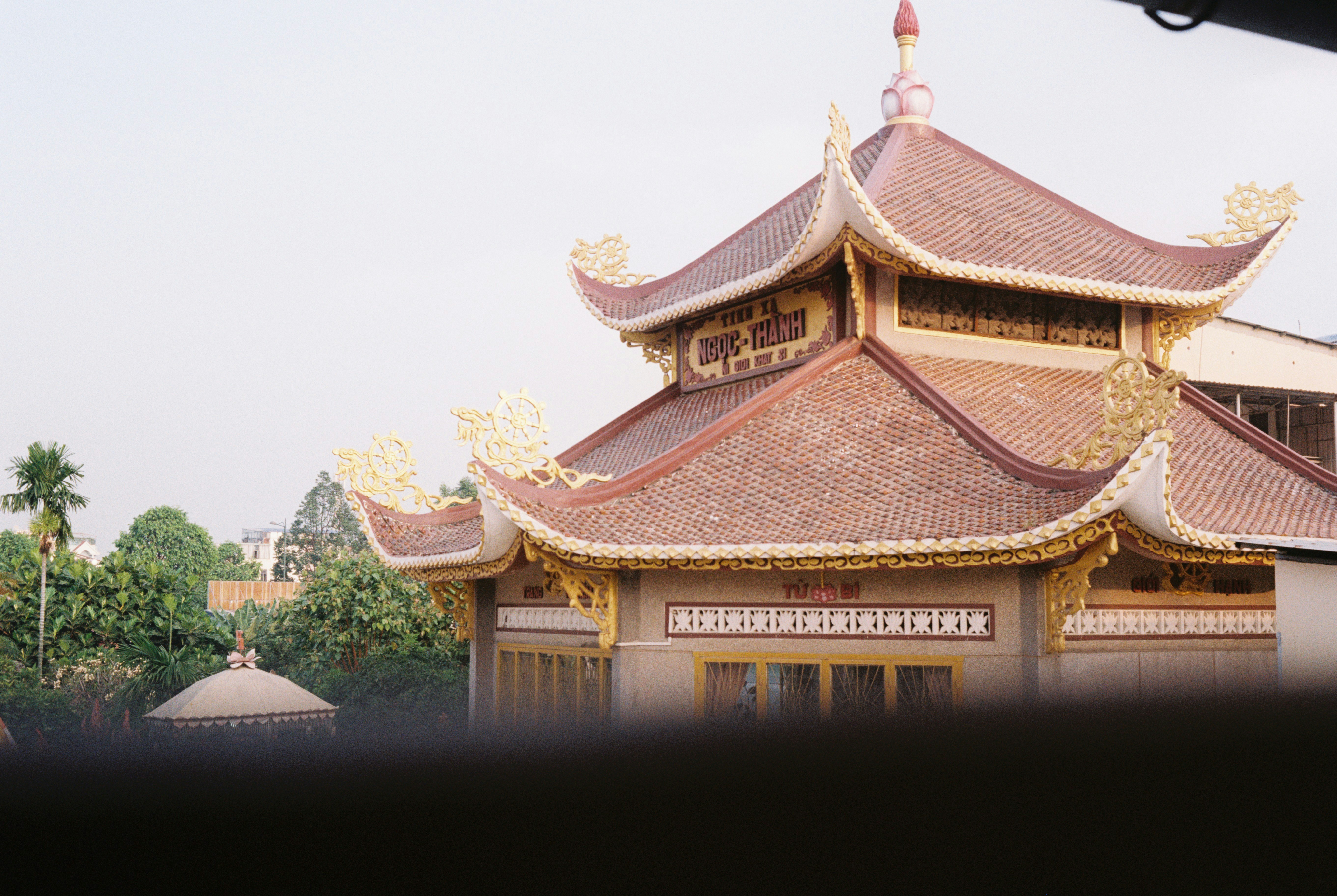 Photo by donguyenkhanhs