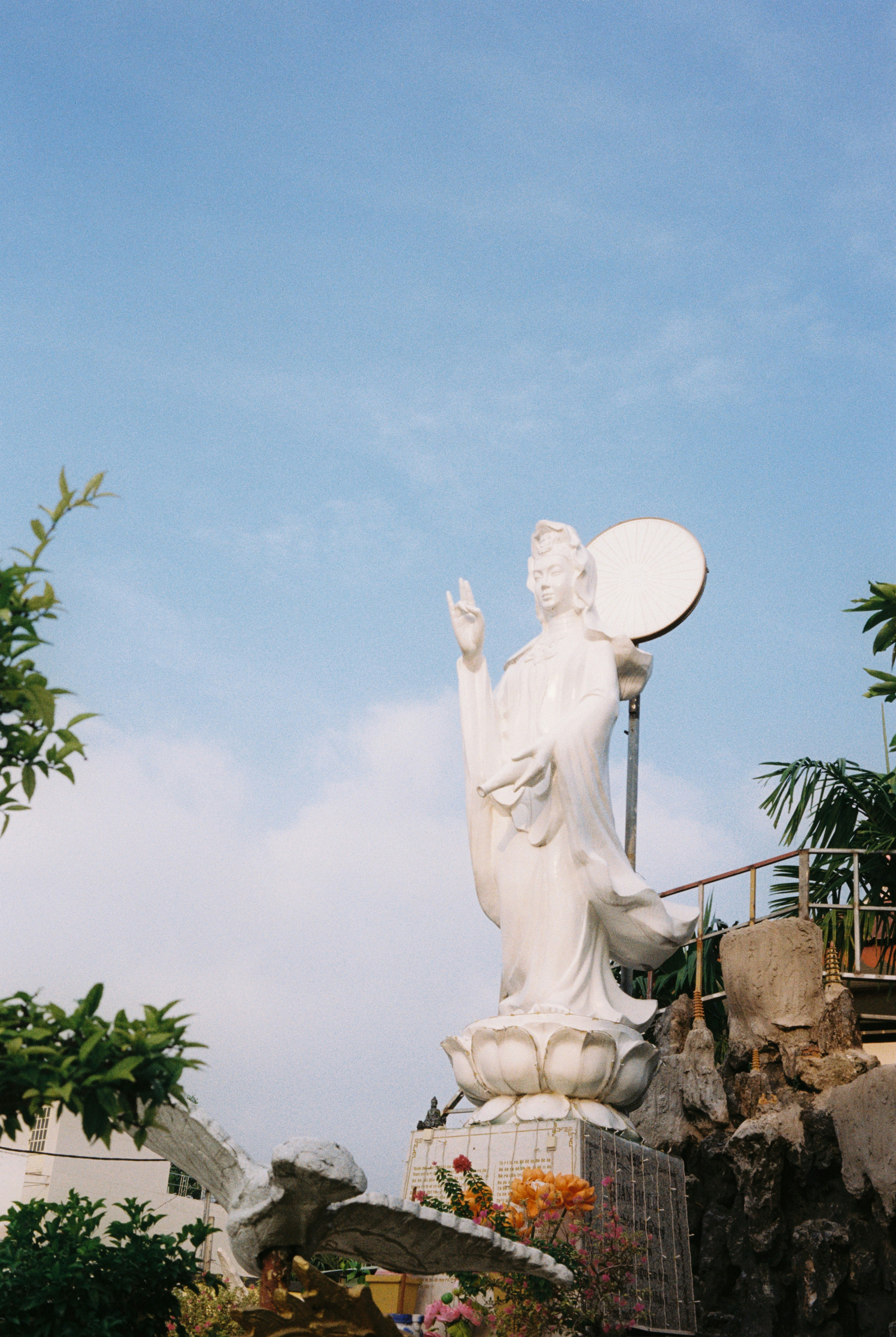 Photo by donguyenkhanhs