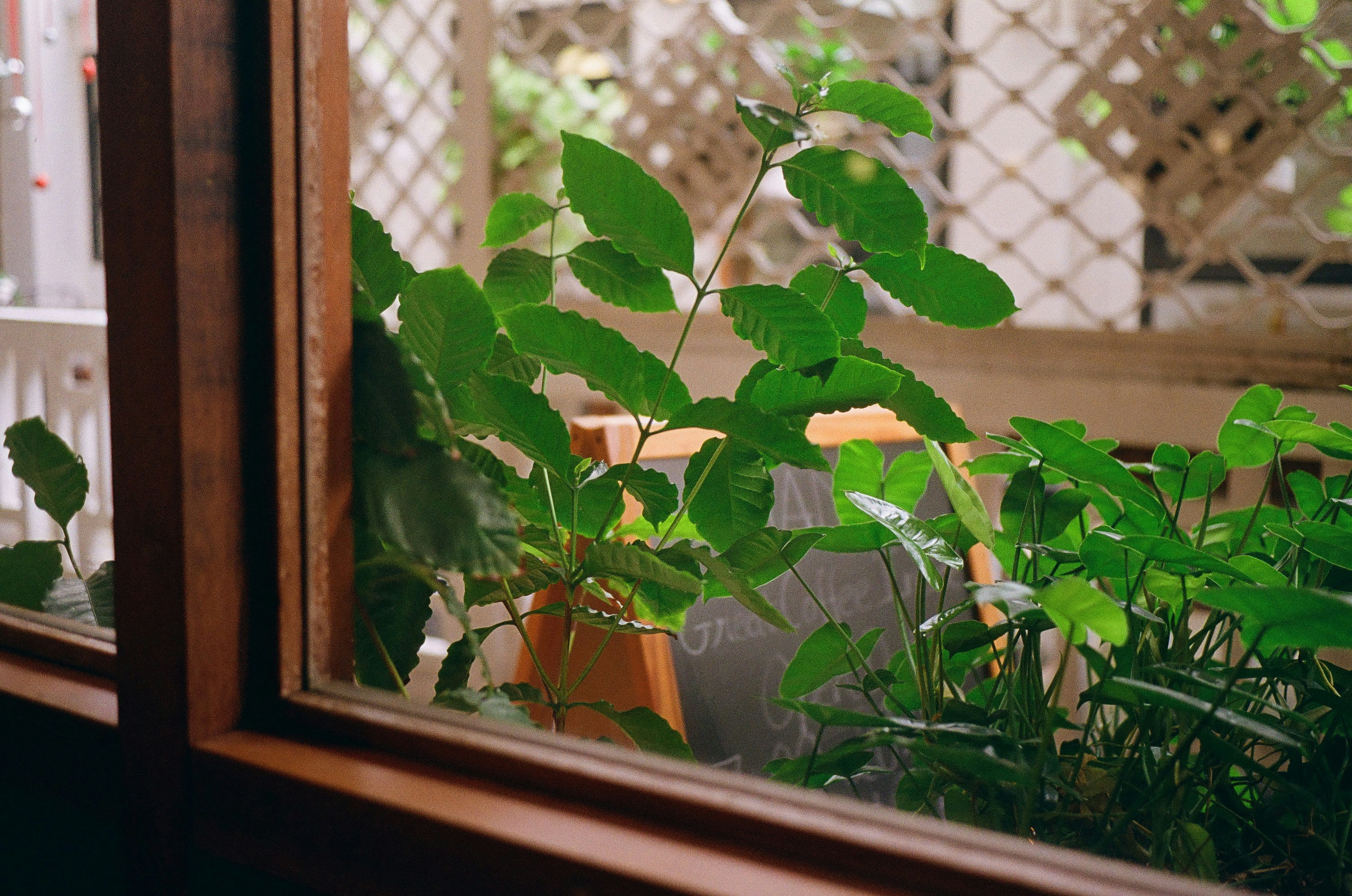 Photo by donguyenkhanhs