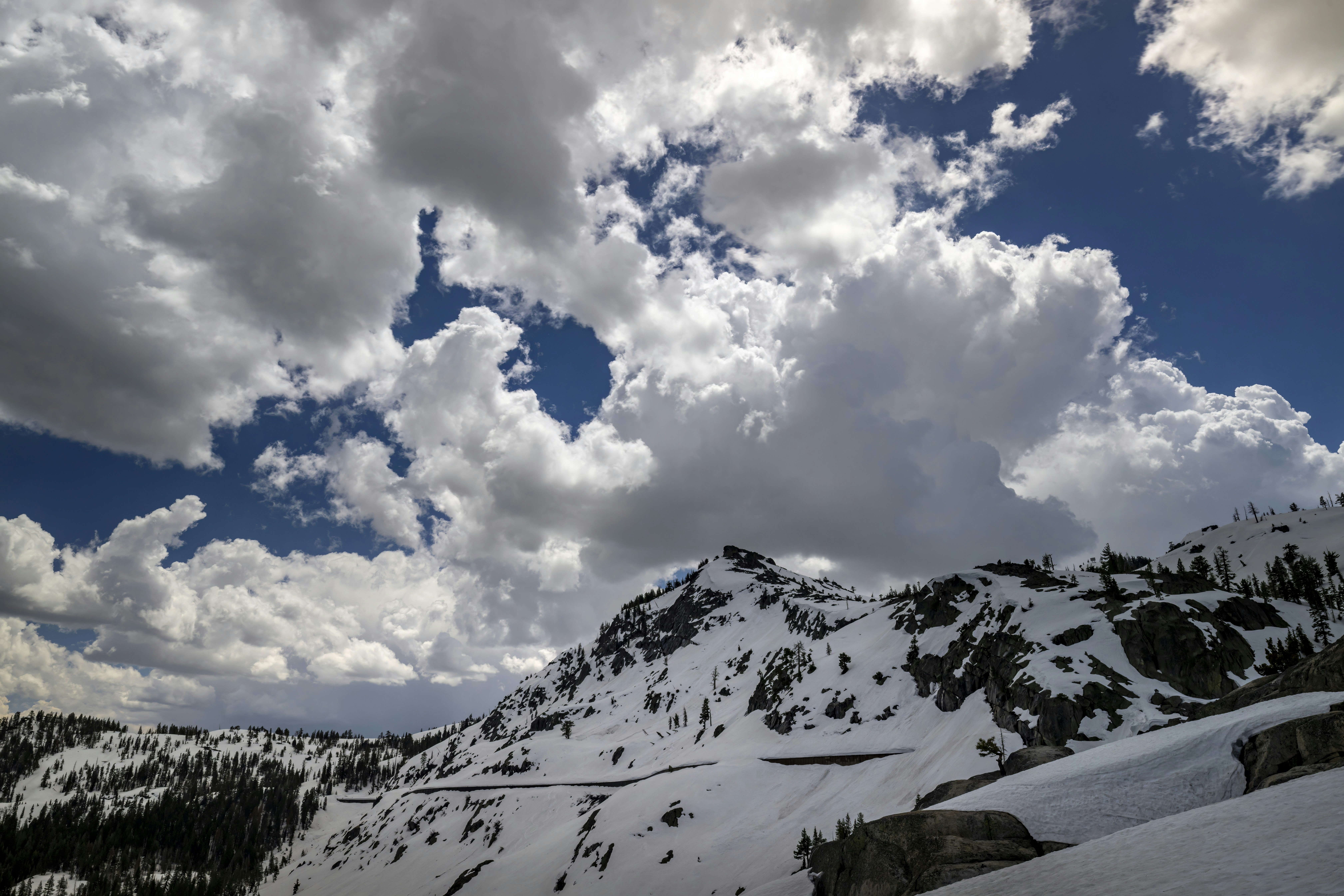 Photo by leo_visions_