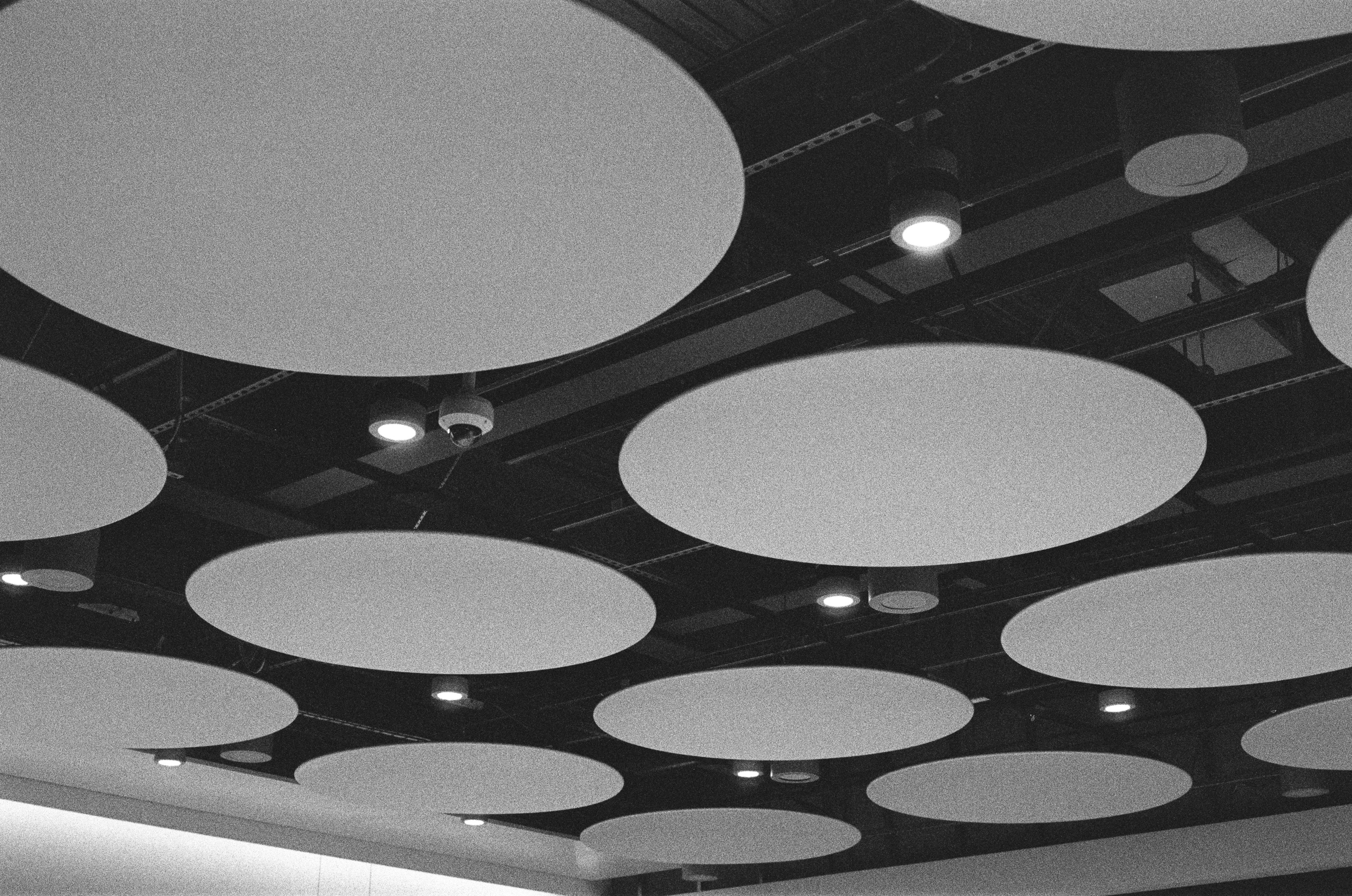 Circular acoustic rafts suspended from a ceiling