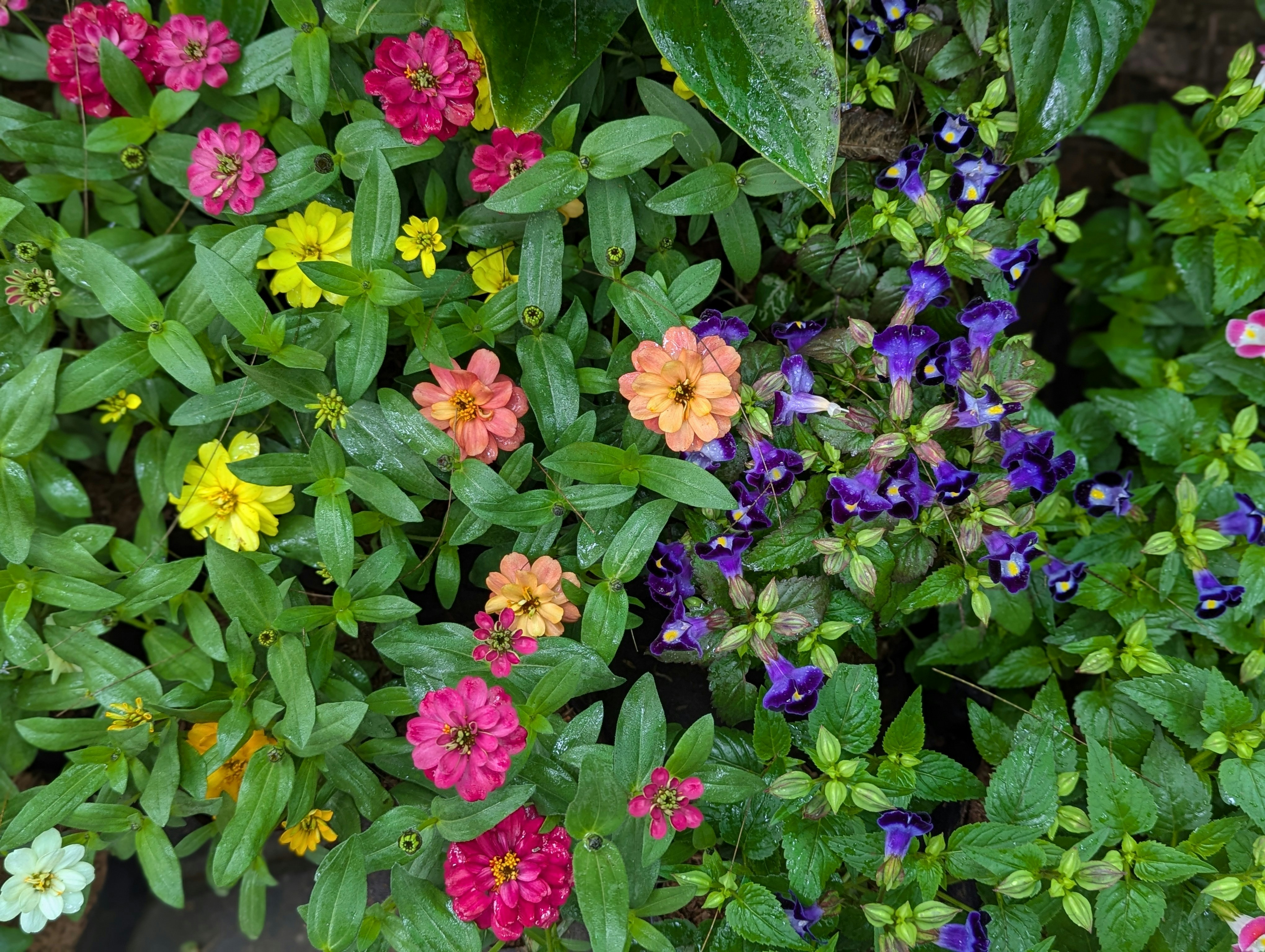 Photo by coffeegelyy